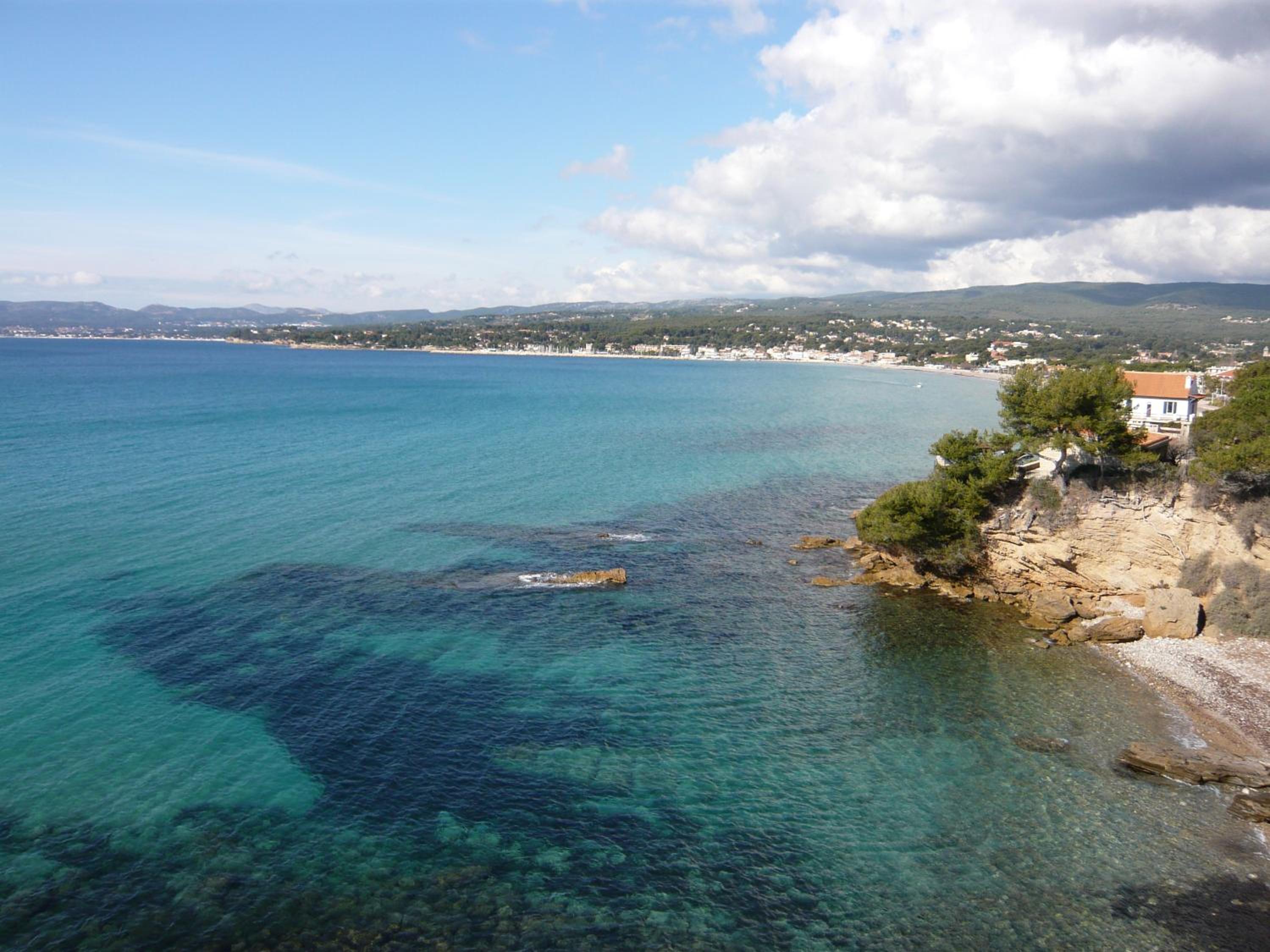 Les Palmiers view 2