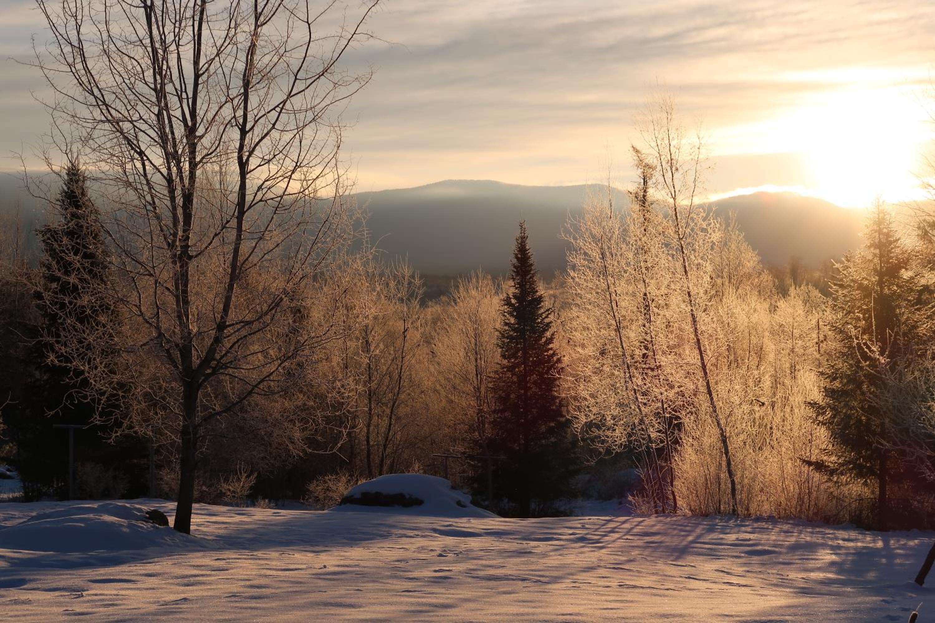 Robert Frost Mountain Cabins