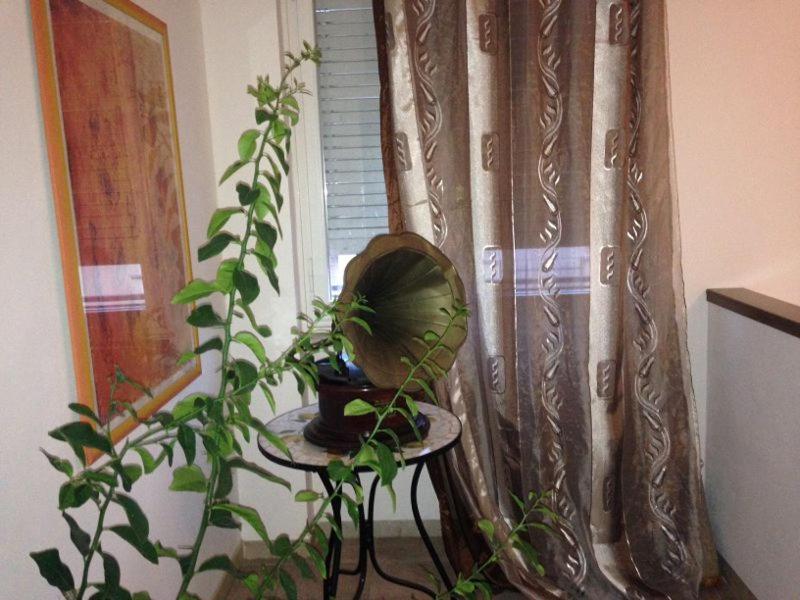 Appartamento Antonio