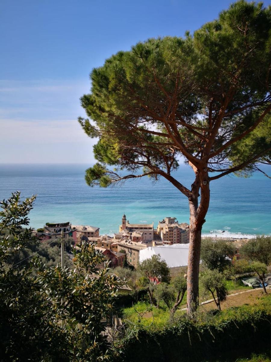 Villa San Prospero