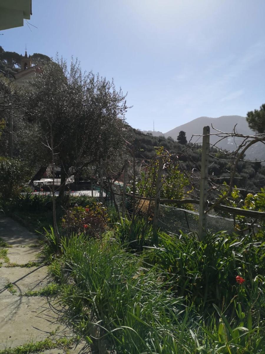 Villa San Prospero