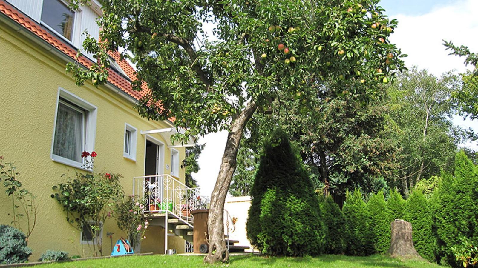 Photo 29