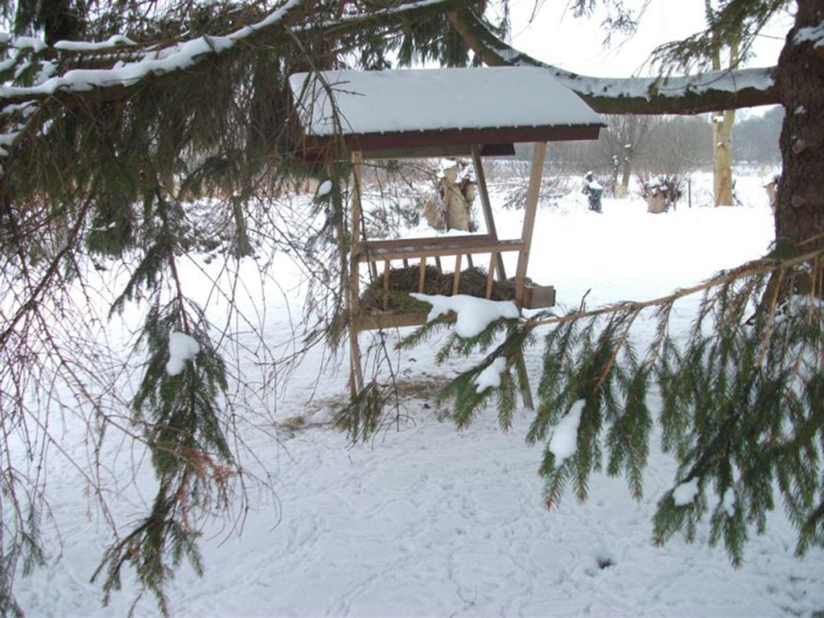 Photo 19