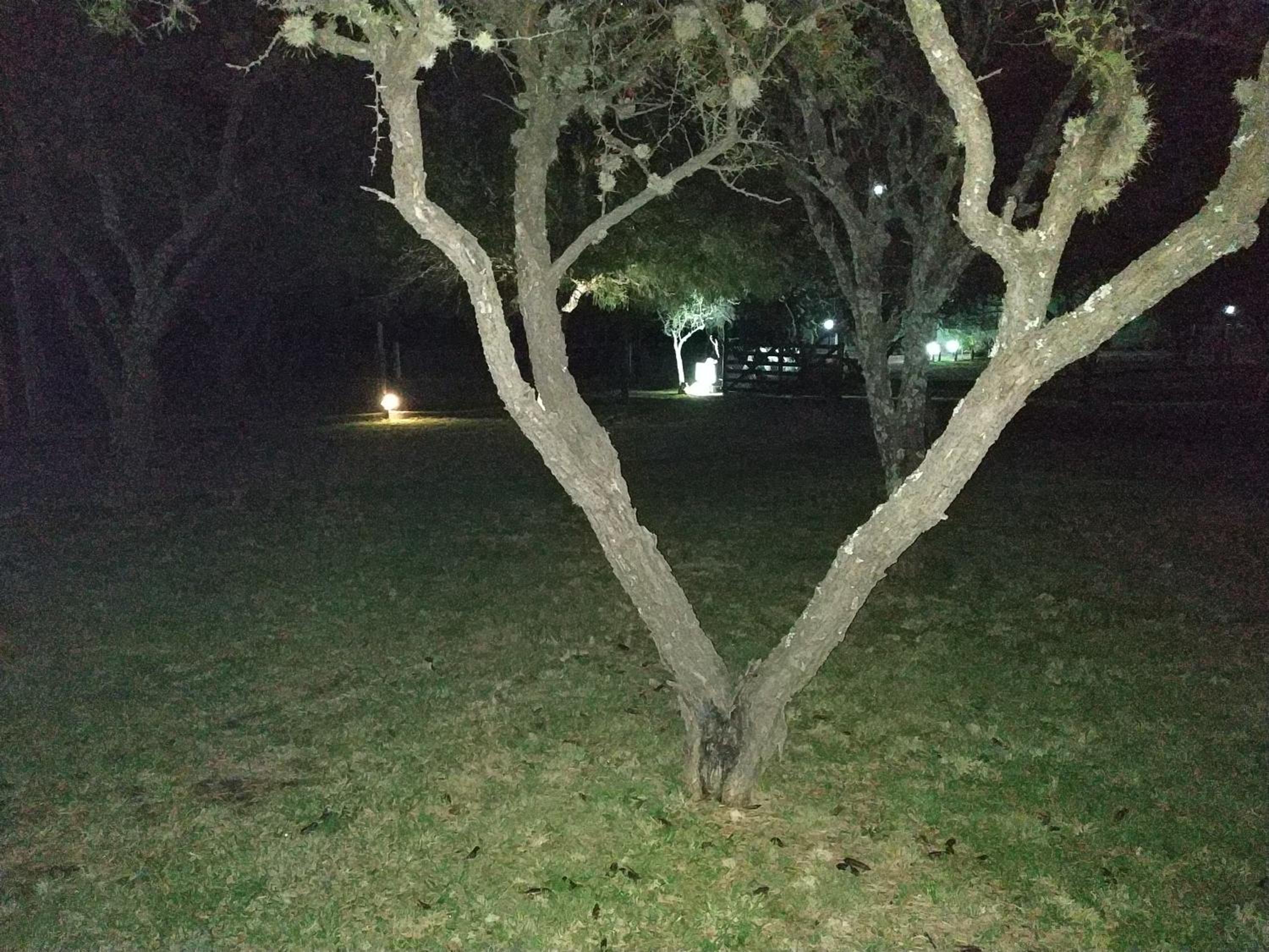 El Naranjero Apart