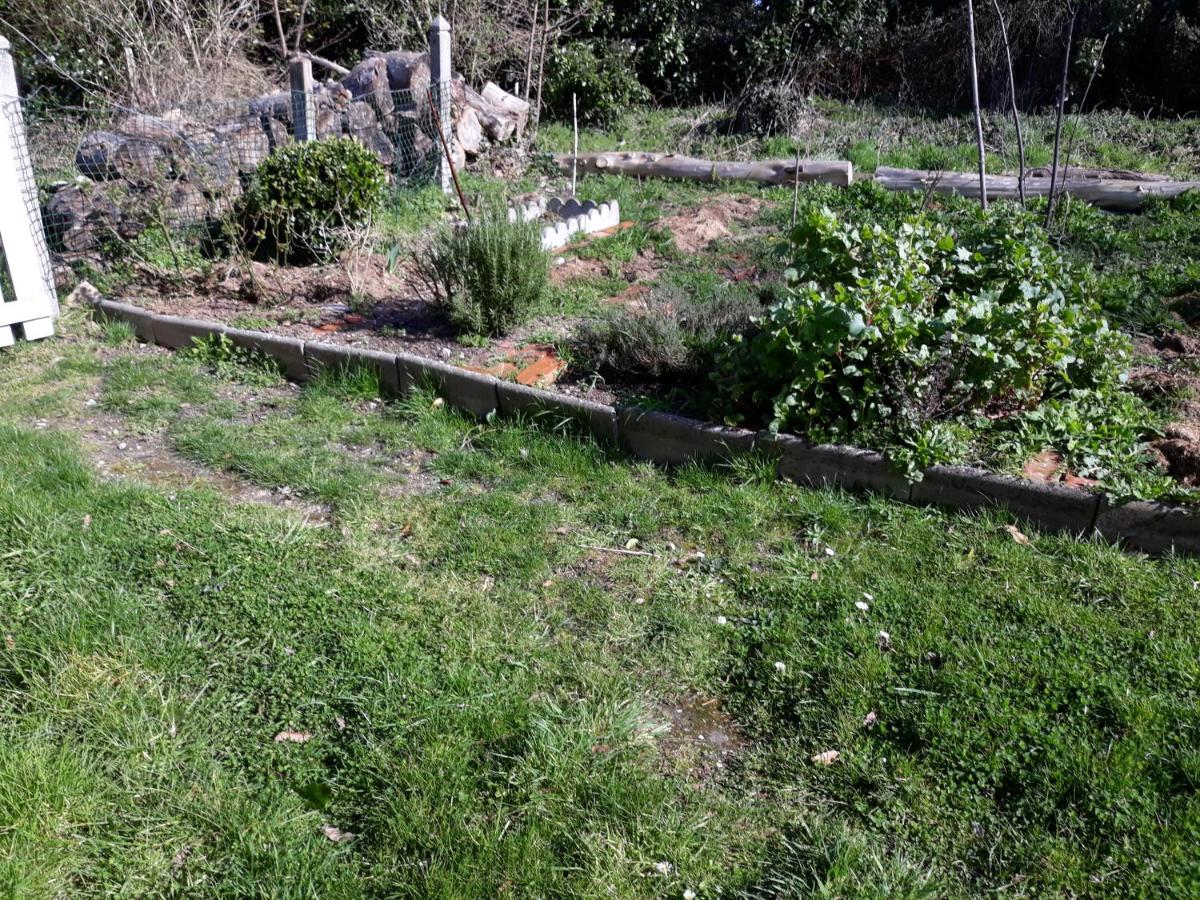 Photo 37