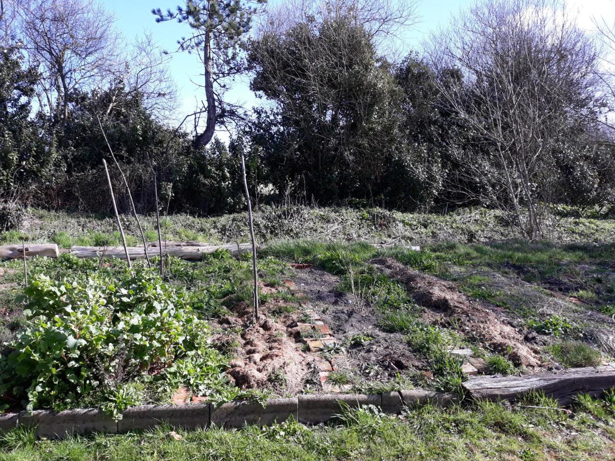 Photo 31