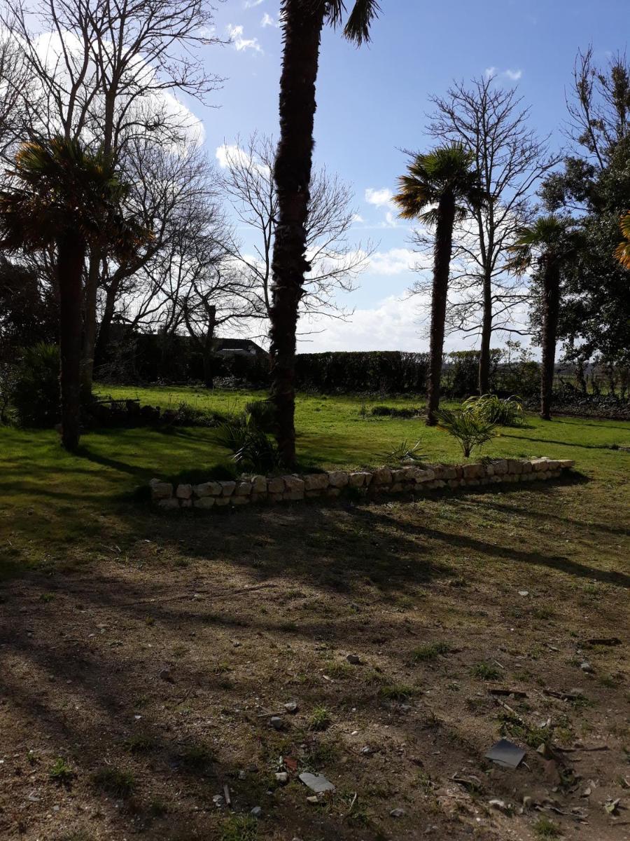 Photo 38