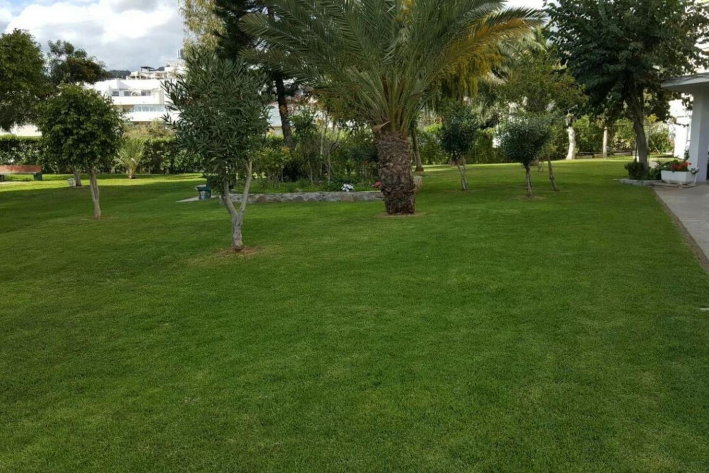 STUDY NEAR MALAGA AND THE BEACH photo 3