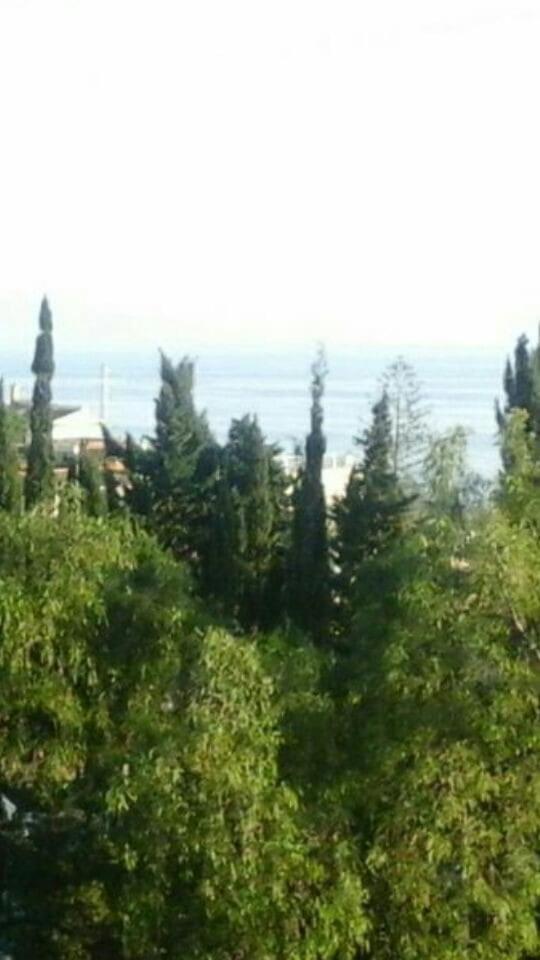STUDY NEAR MALAGA AND THE BEACH photo 2