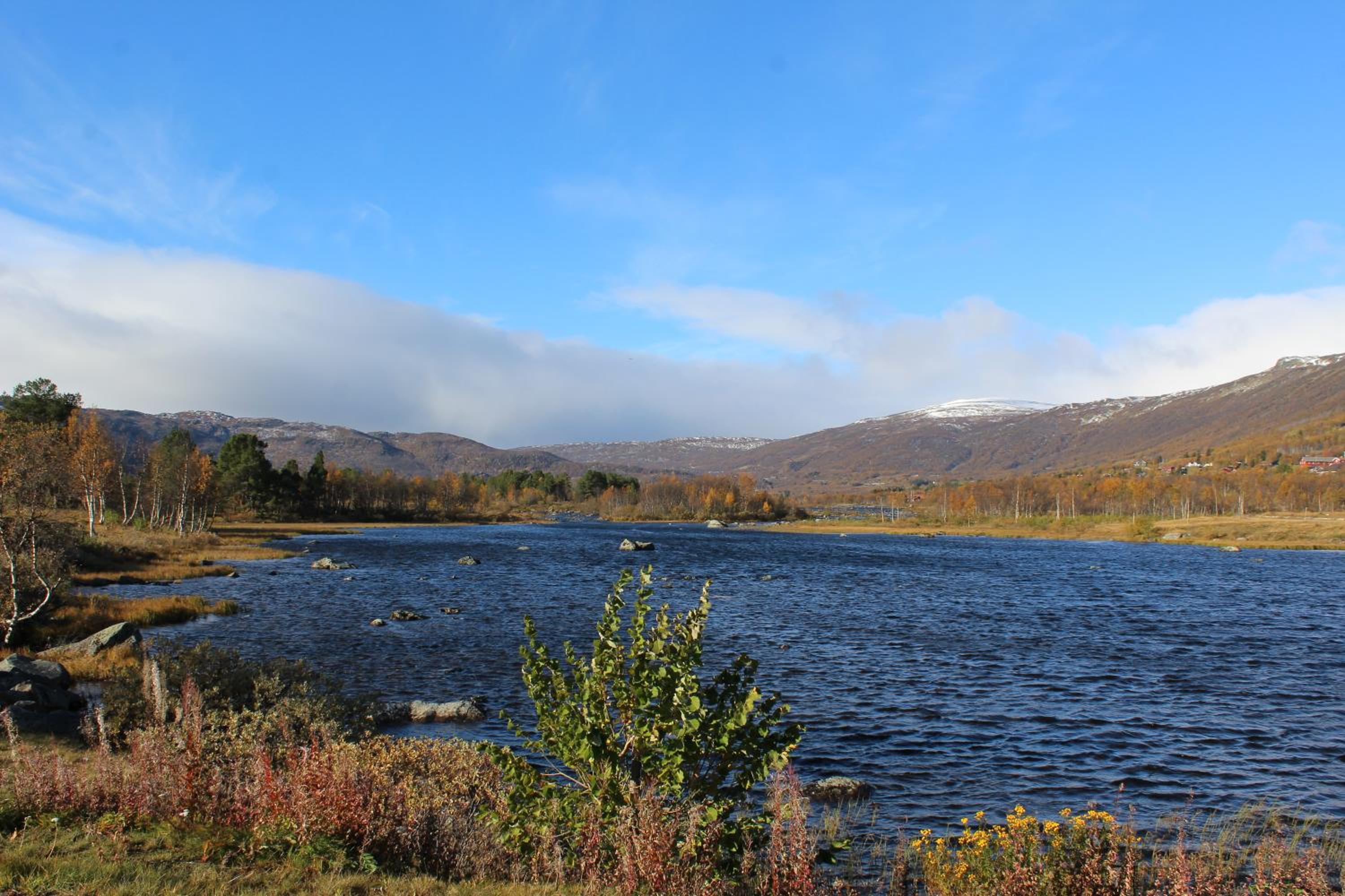 Ådnebu by Norgesbooking - cabin with 3 bedrooms view 5