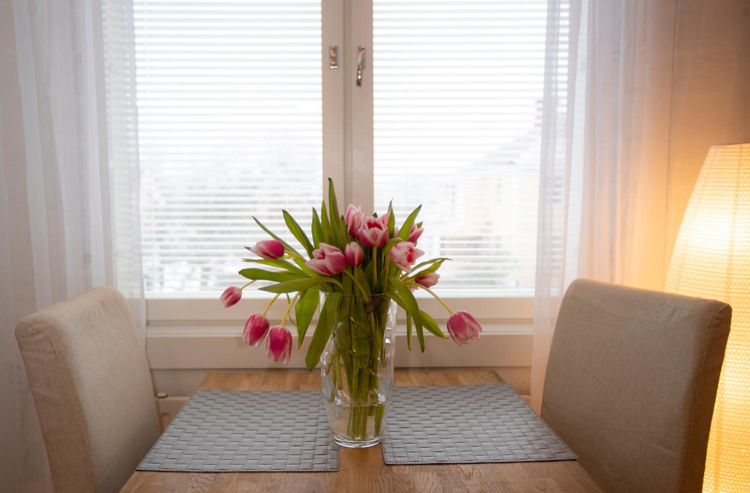 Klintvägen Apartments
