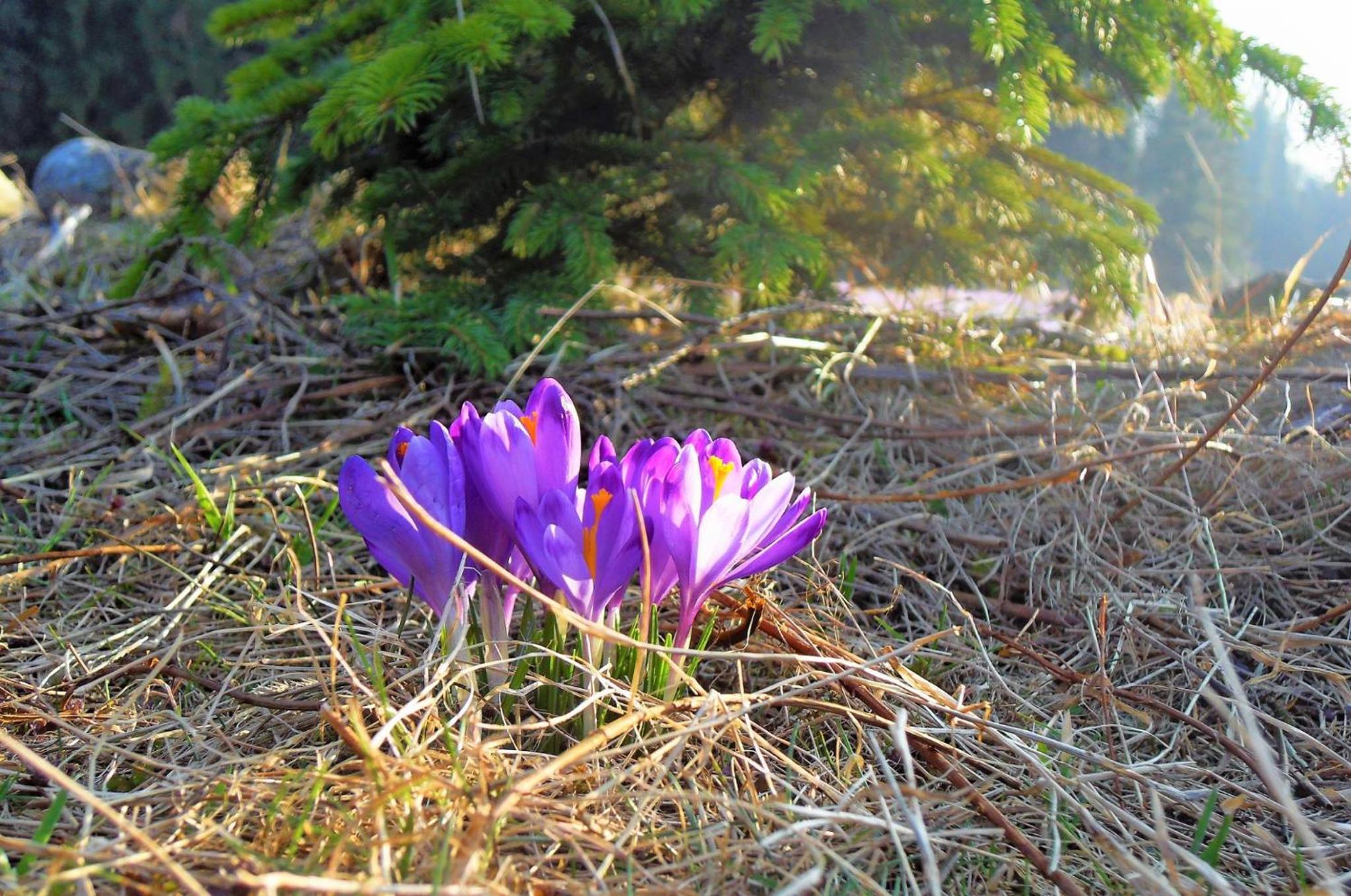 Photo 24