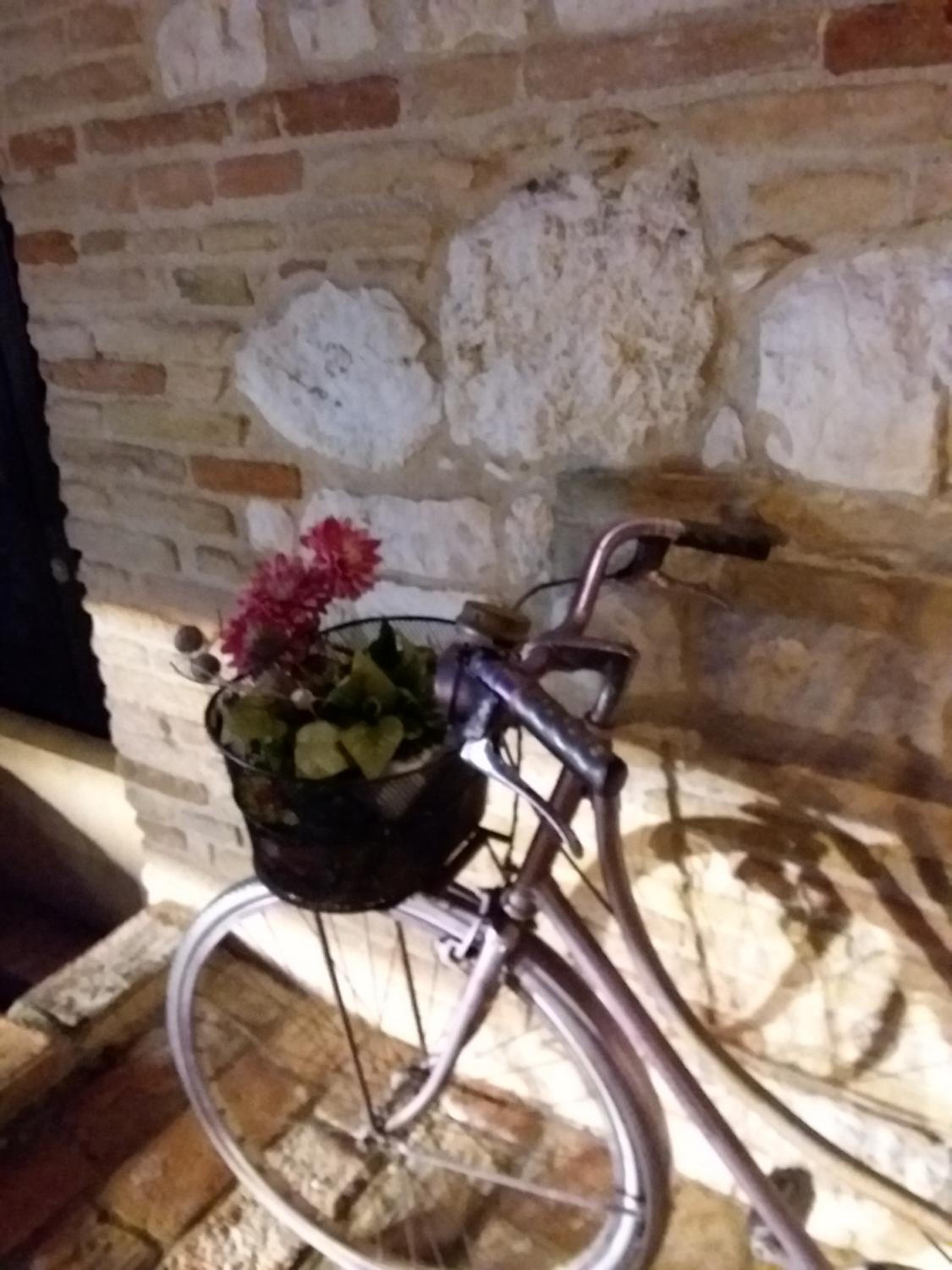 Acquamarina B&B Casa vacanze