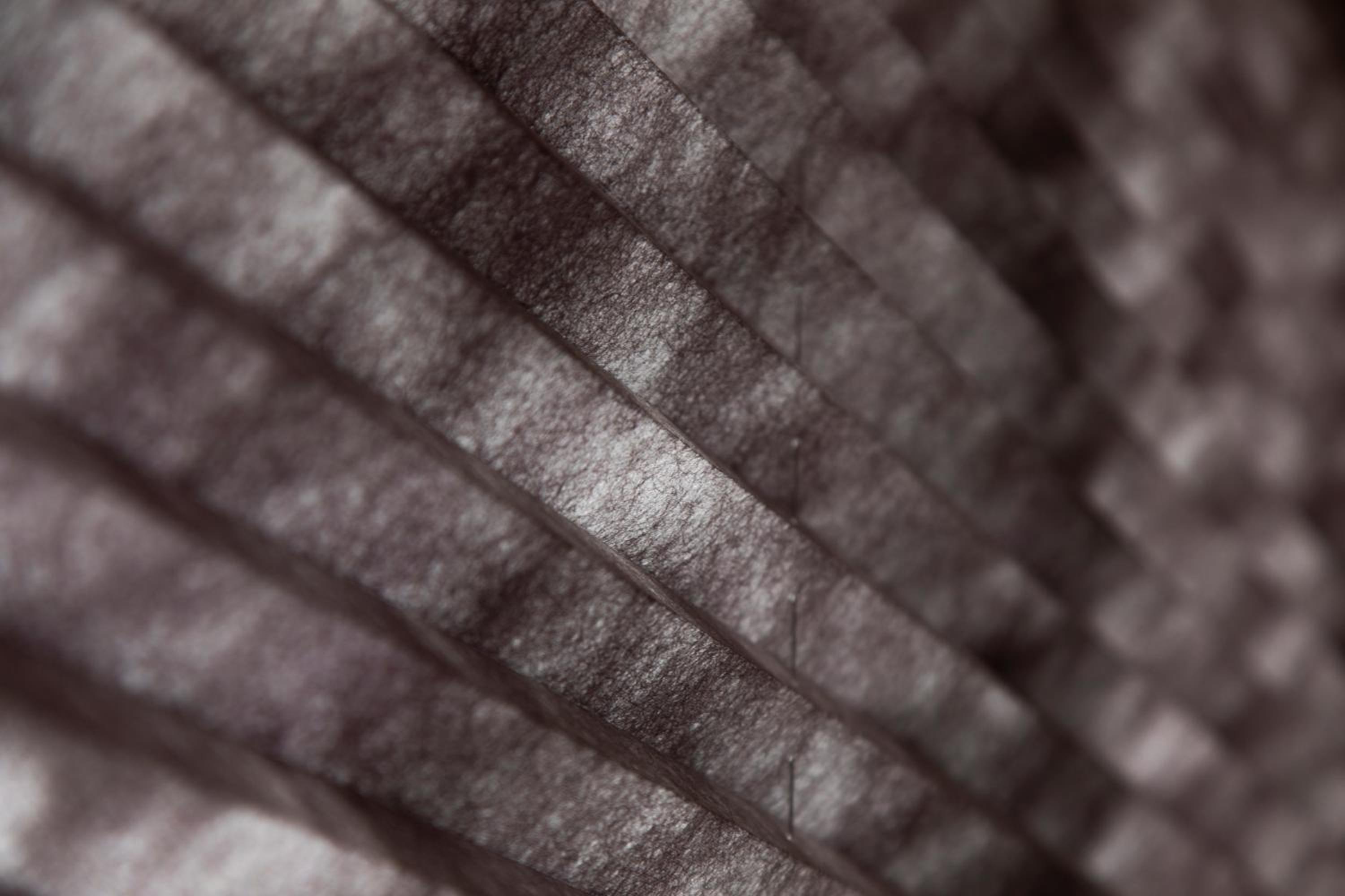 Photo 50