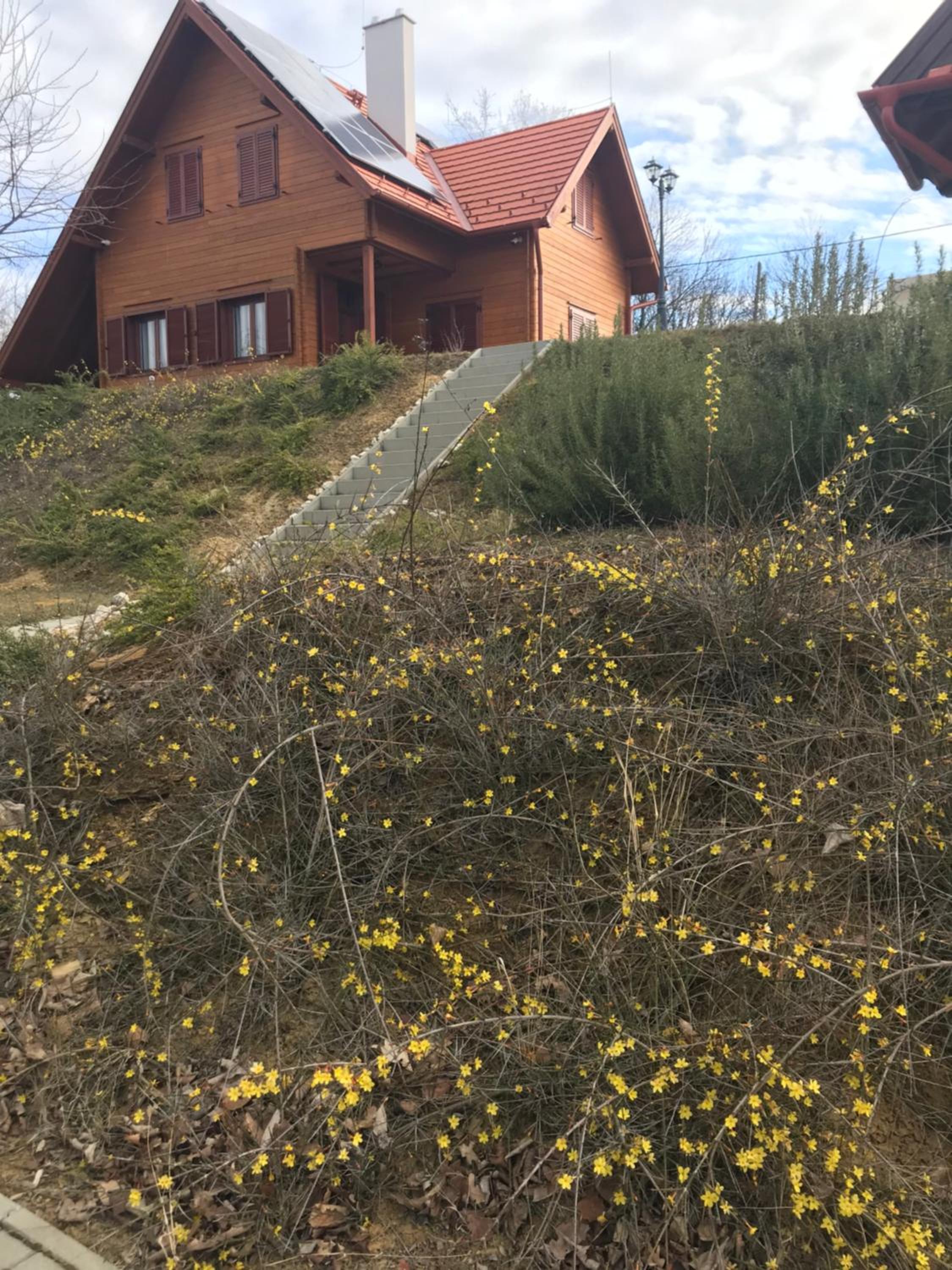 Böjti Pince view 2