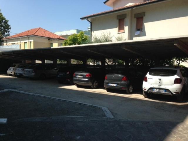 Hotel Carol