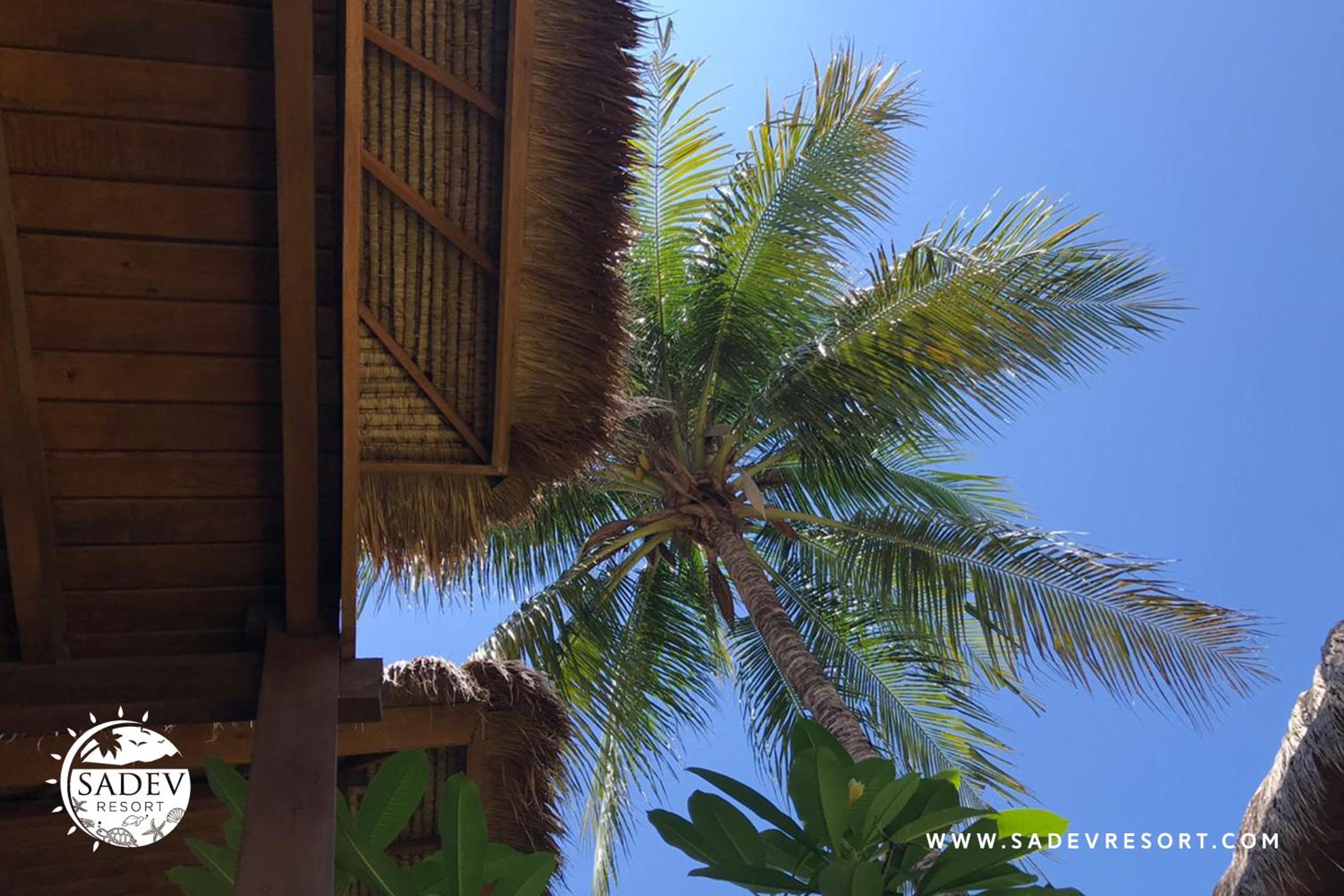 Sadev Resort