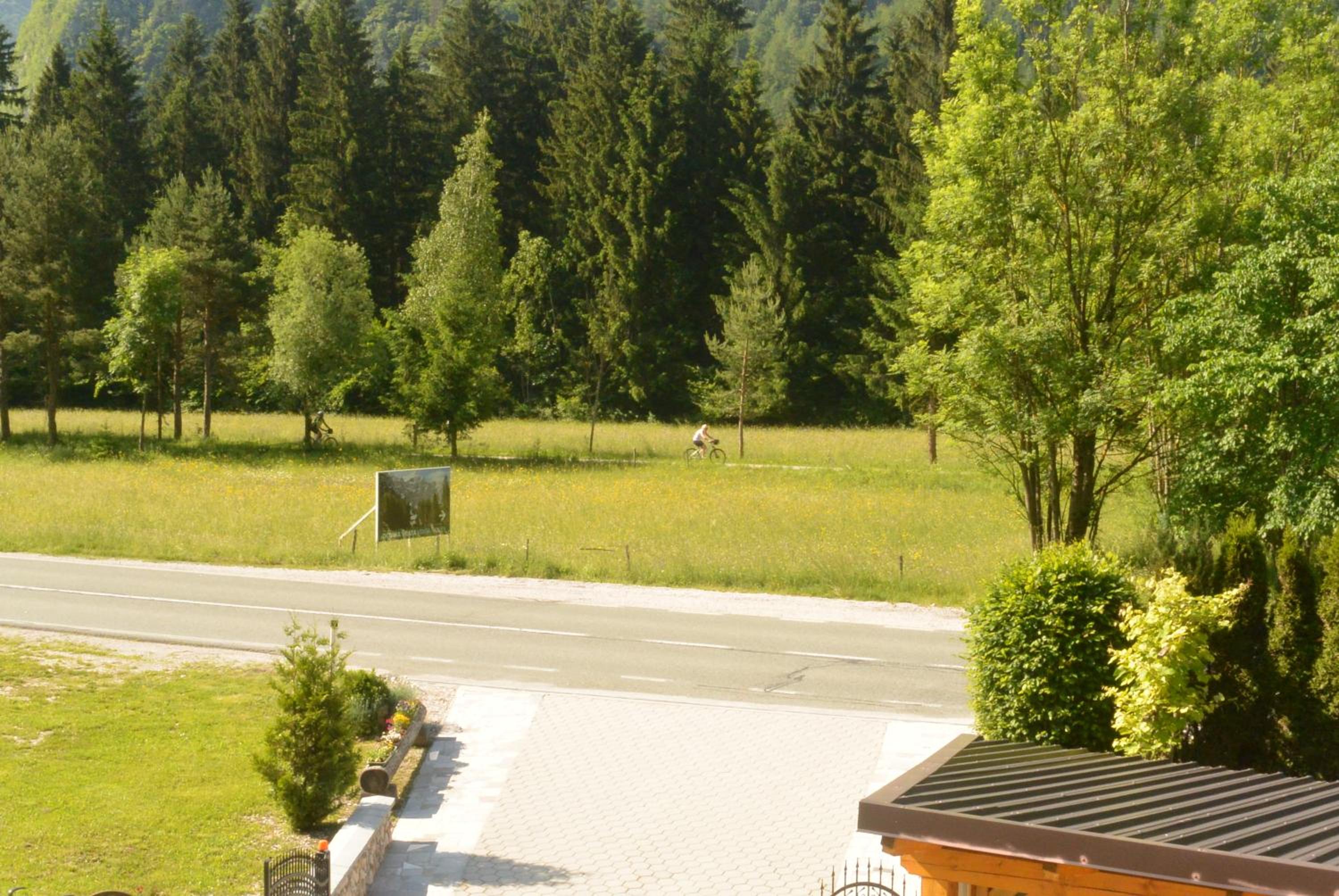 Photo 40
