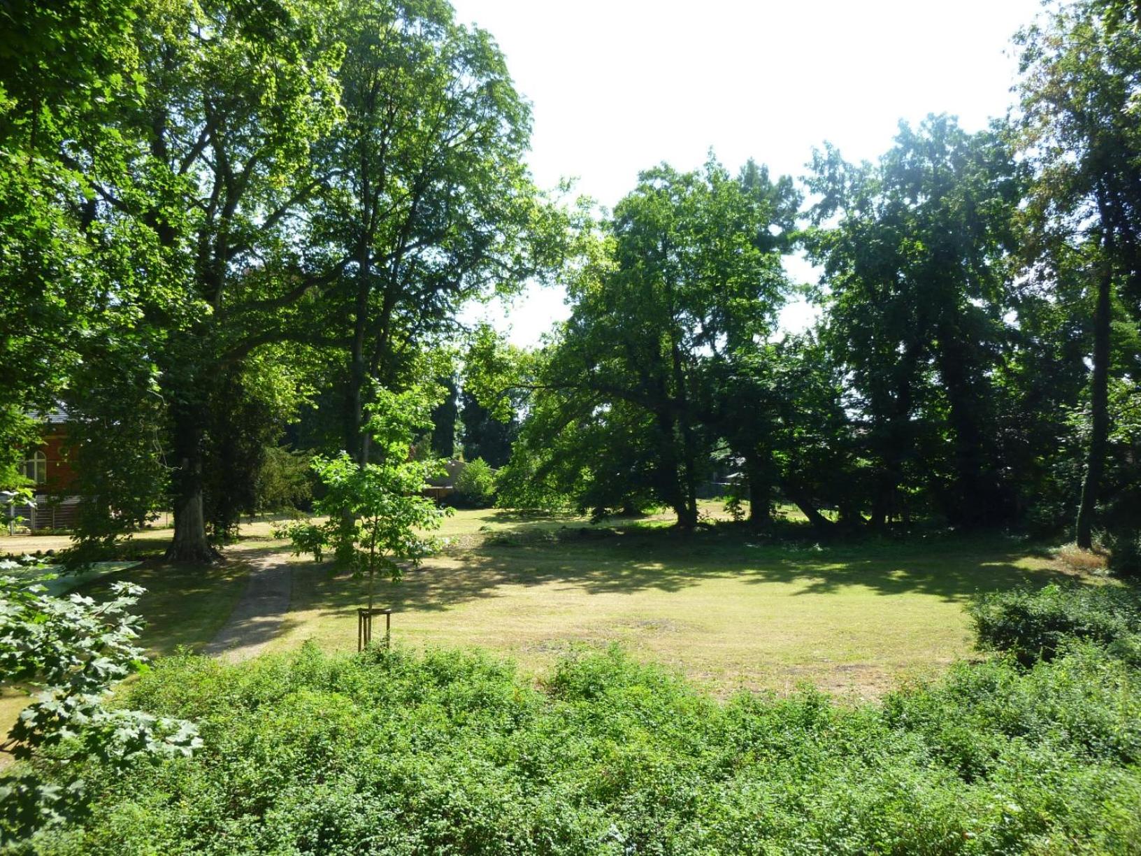 Photo 26