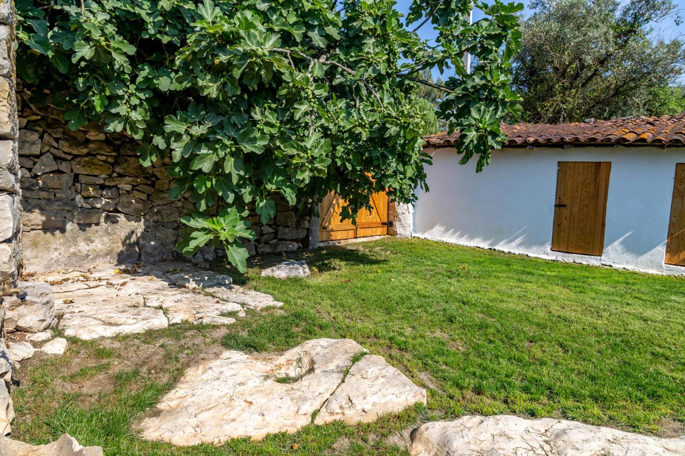 Casal das Fontainhas- Country Farmhouse with Pool