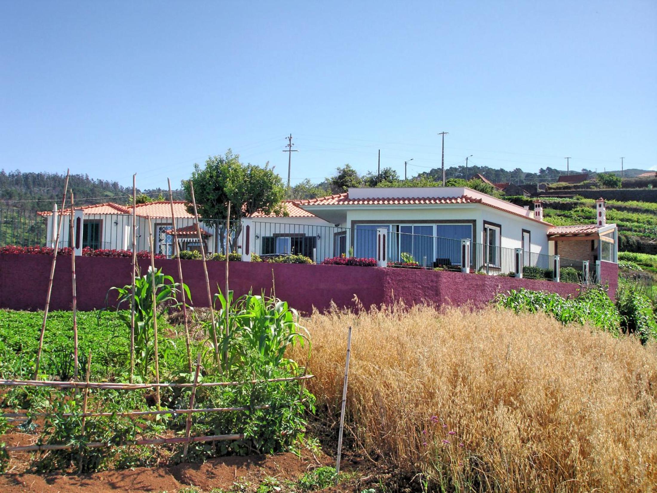 OurMadeira - Theo's House