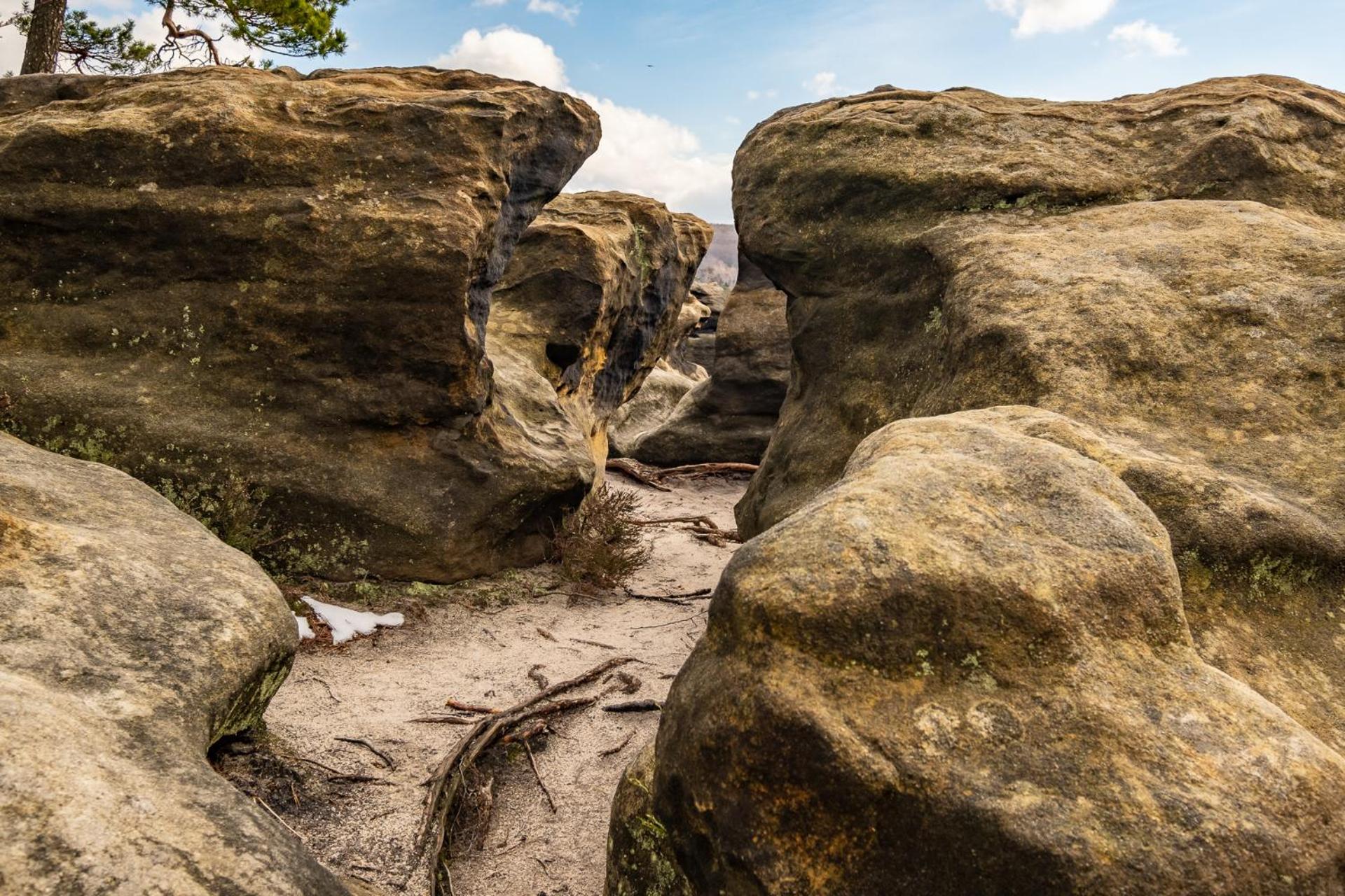 Dresden Vacations - Traumhaftes Elb-Chalet - Property Image 6