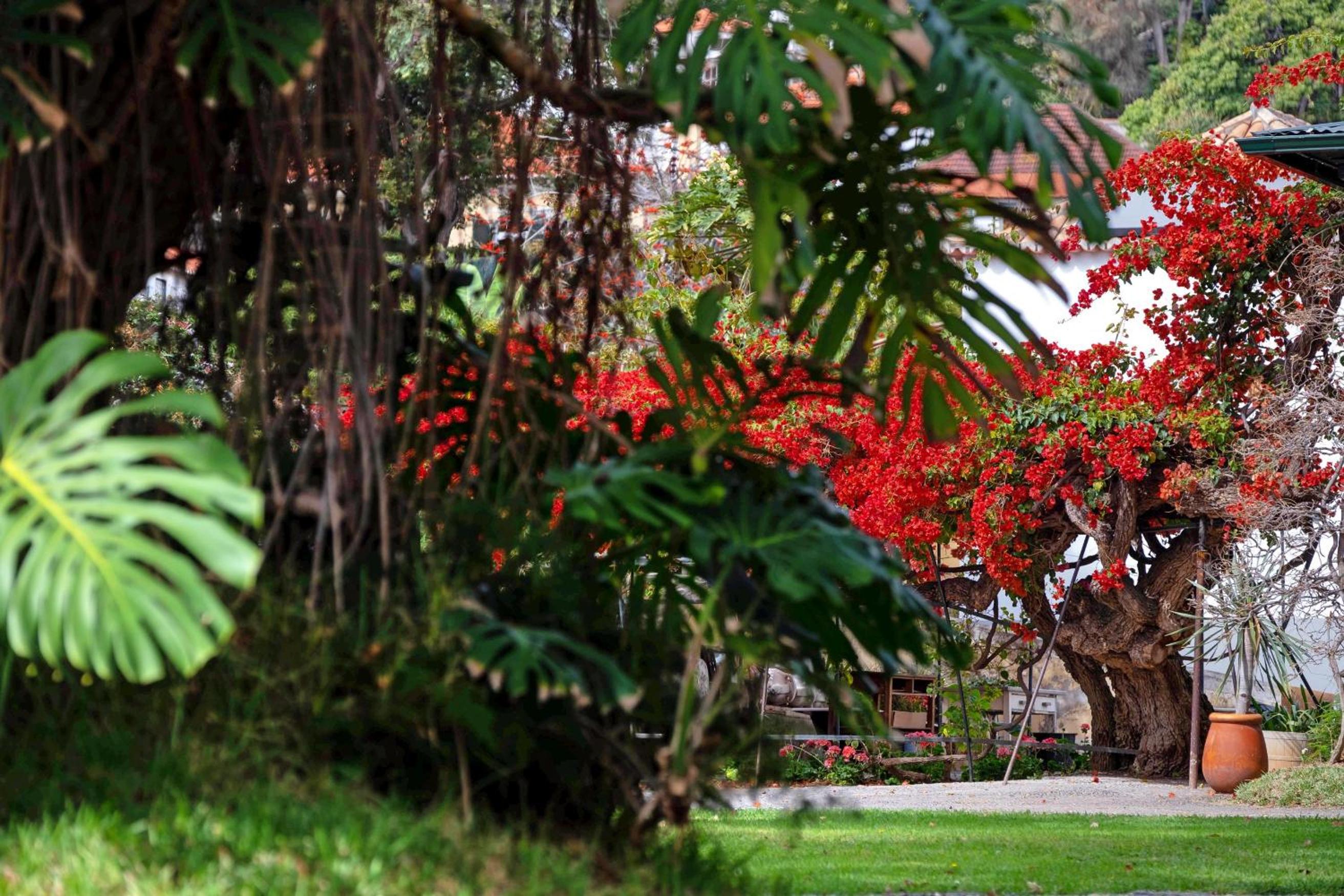 OurMadeira - Loja da Lenha