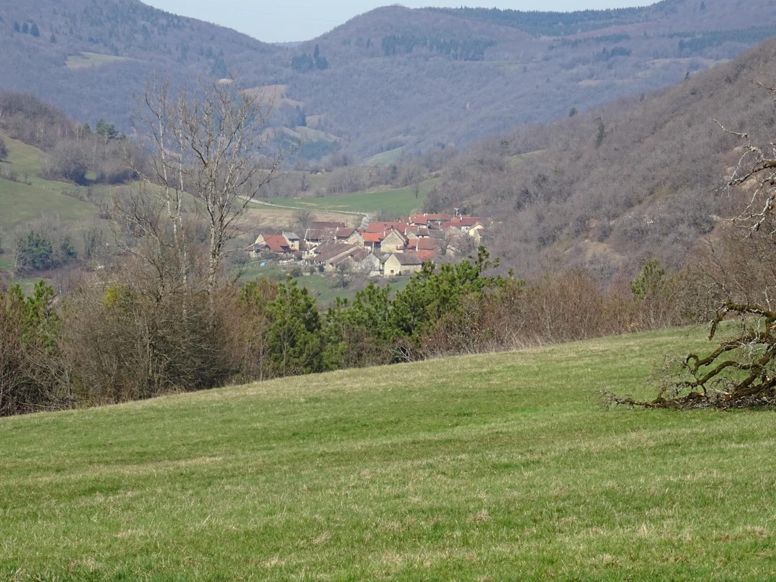 Photo 15