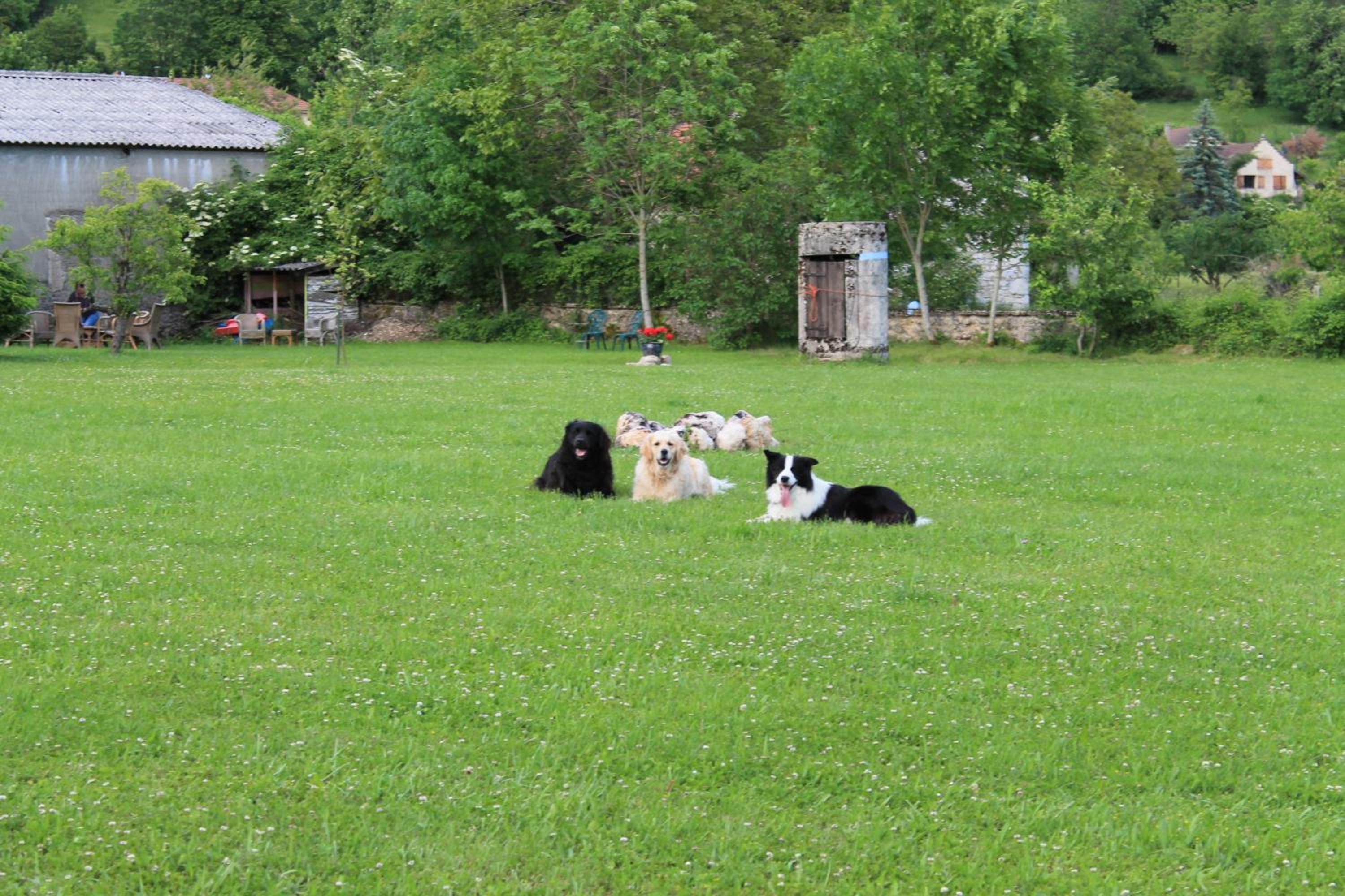Photo 47