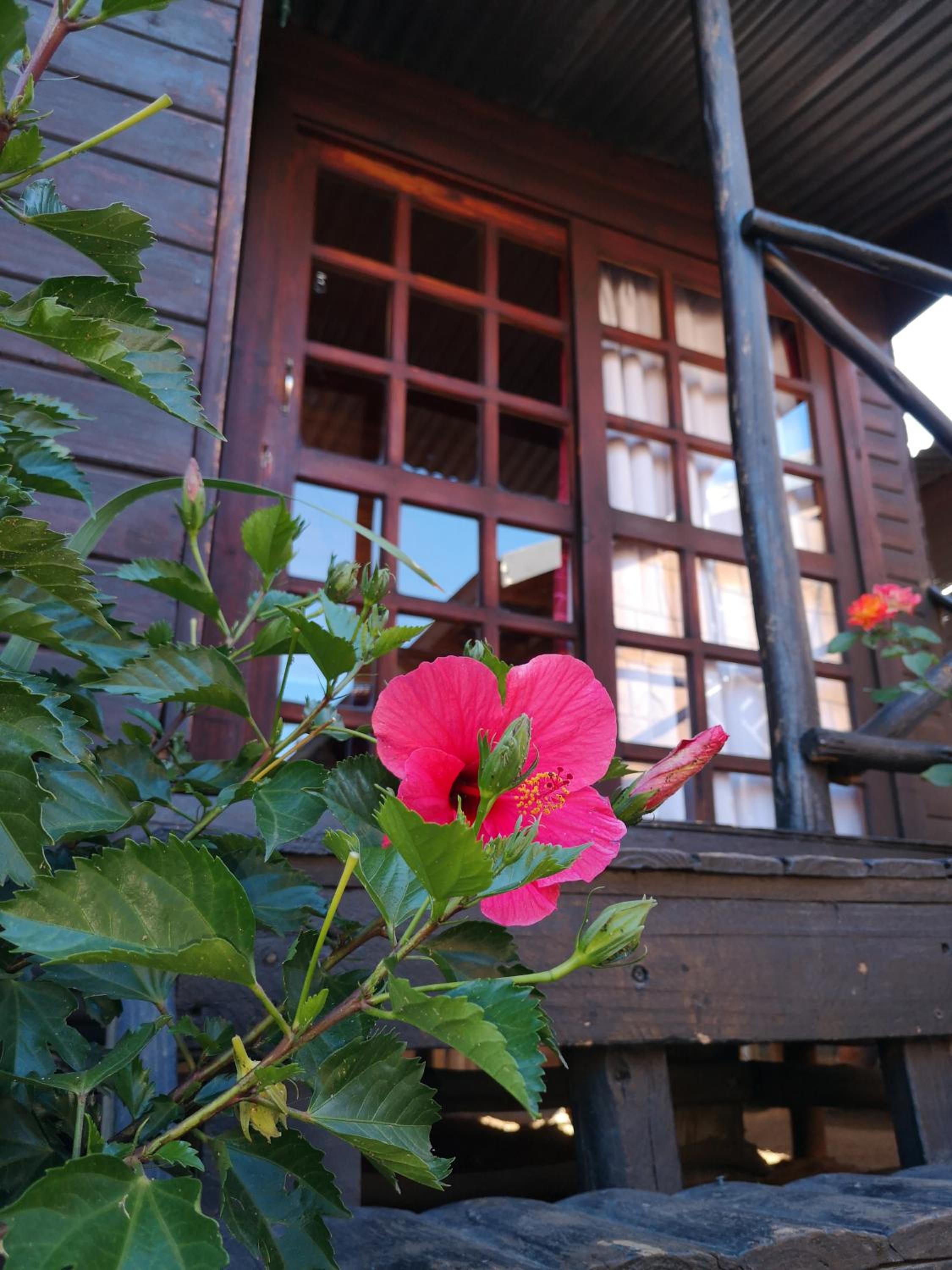 The Guesthouse