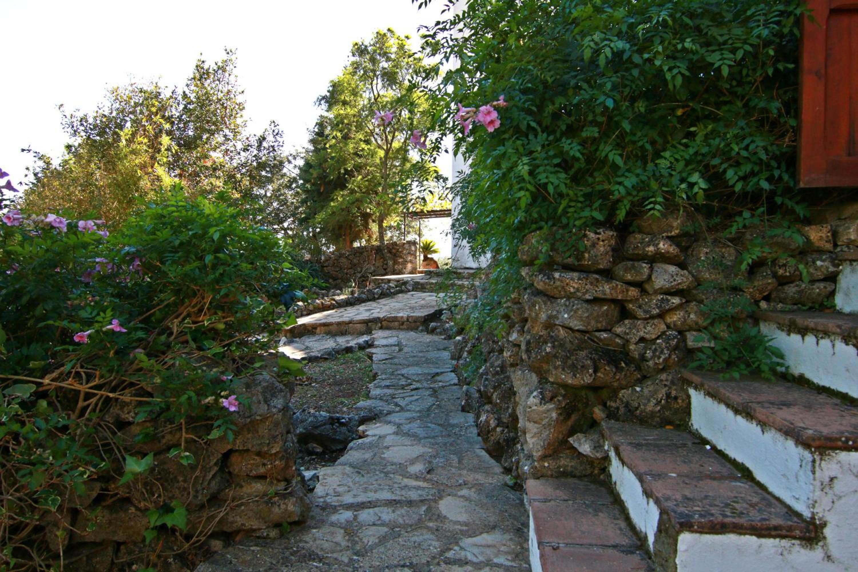 Photo 58