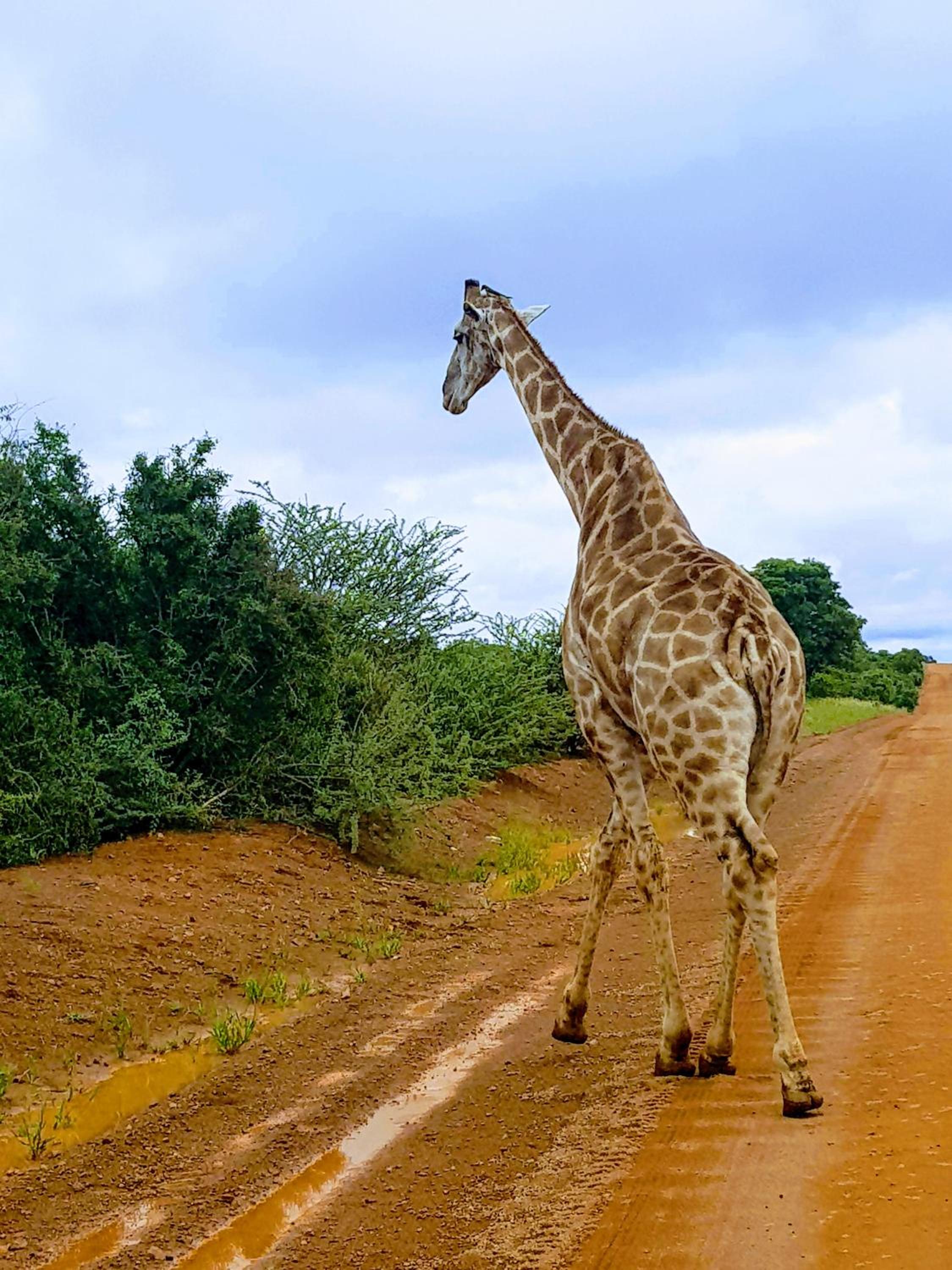 OuKlip Game Lodge
