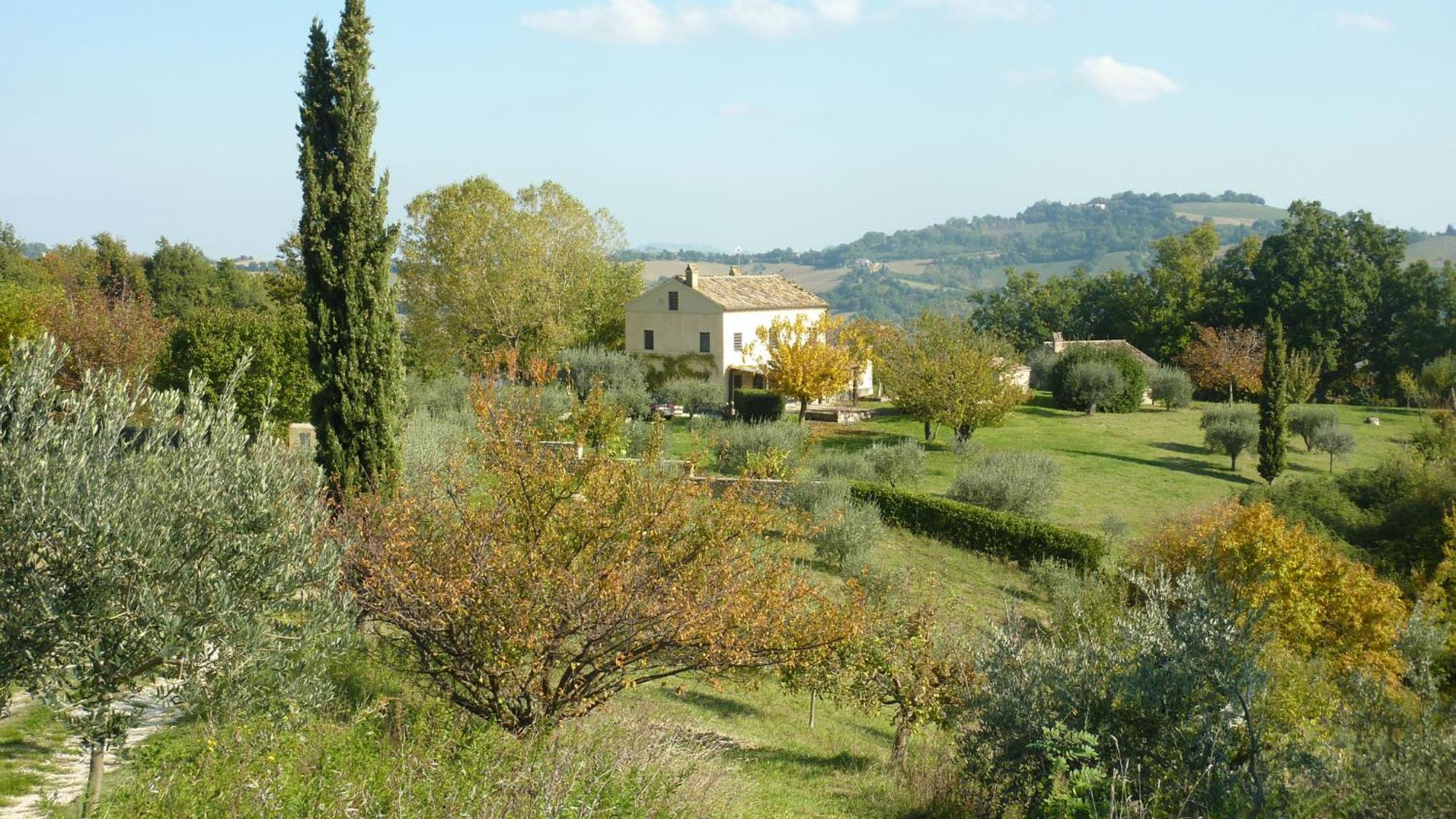 Casale Oliva in a landscape of oaks, olive e cherry trees