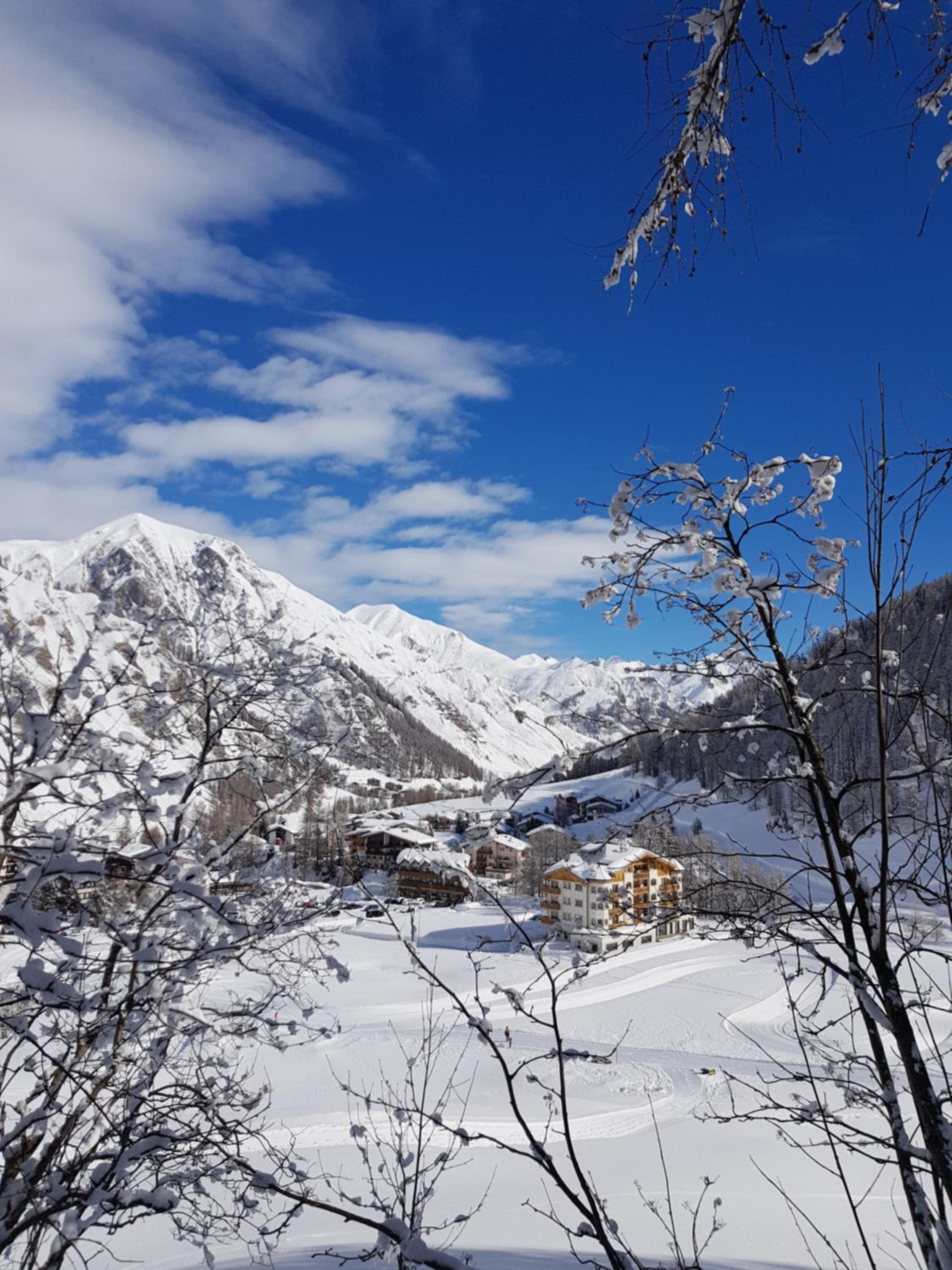 Photo 39