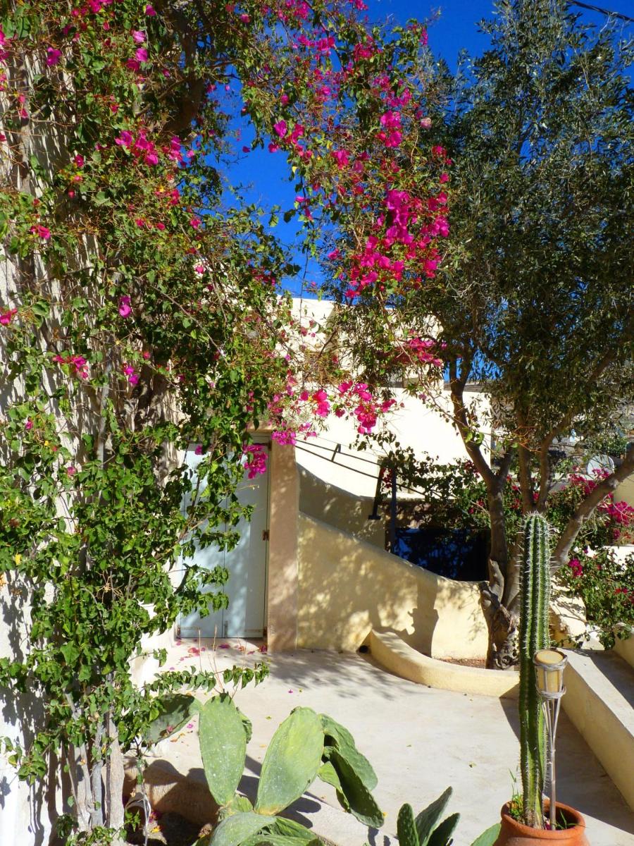 Photo 48
