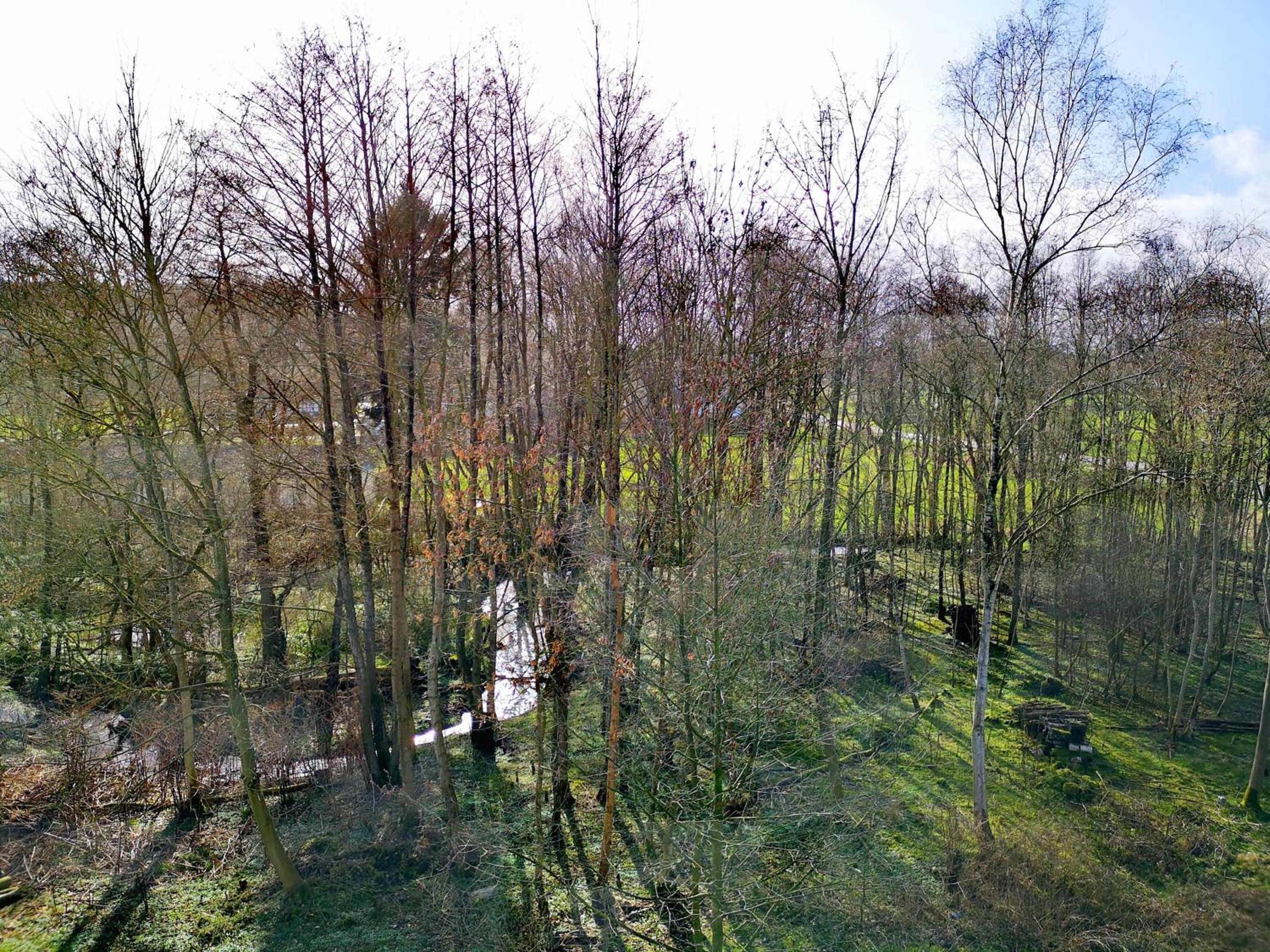 Selker Noor Apartments - 1,4 ha Naturpark, privater Terrasse, Bachlauf an der Selker Wassermühle