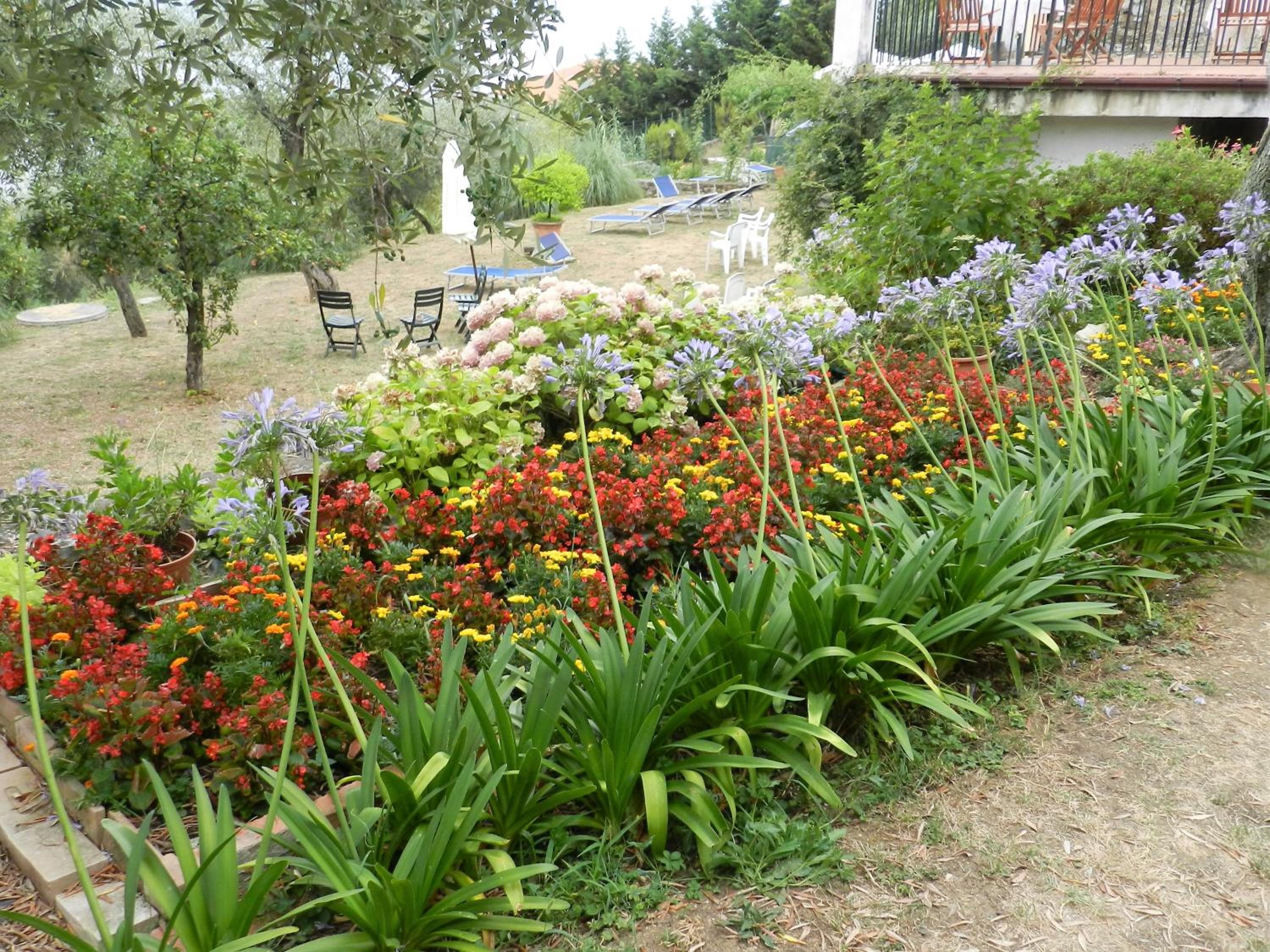Photo 42