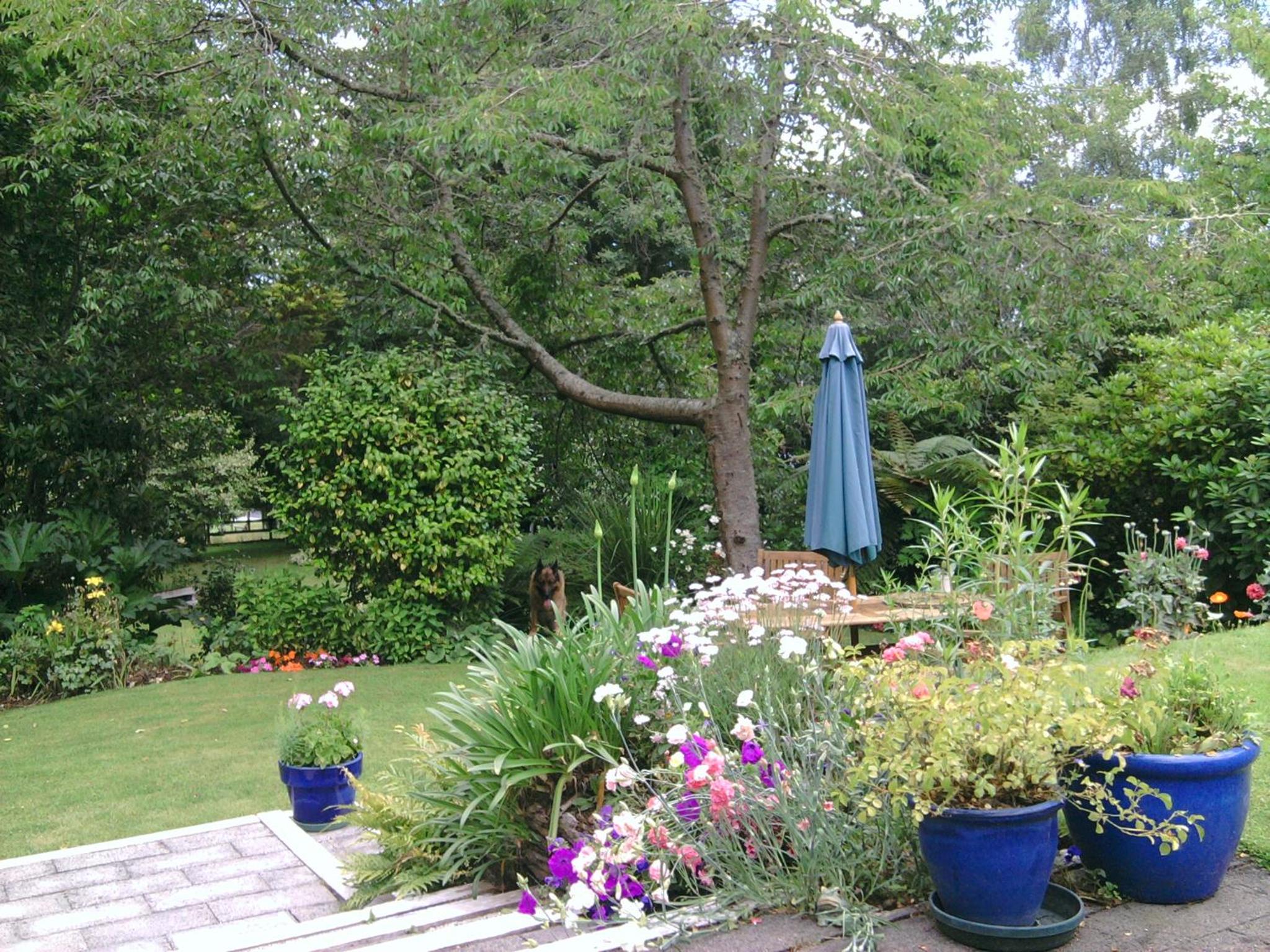 Photo 13