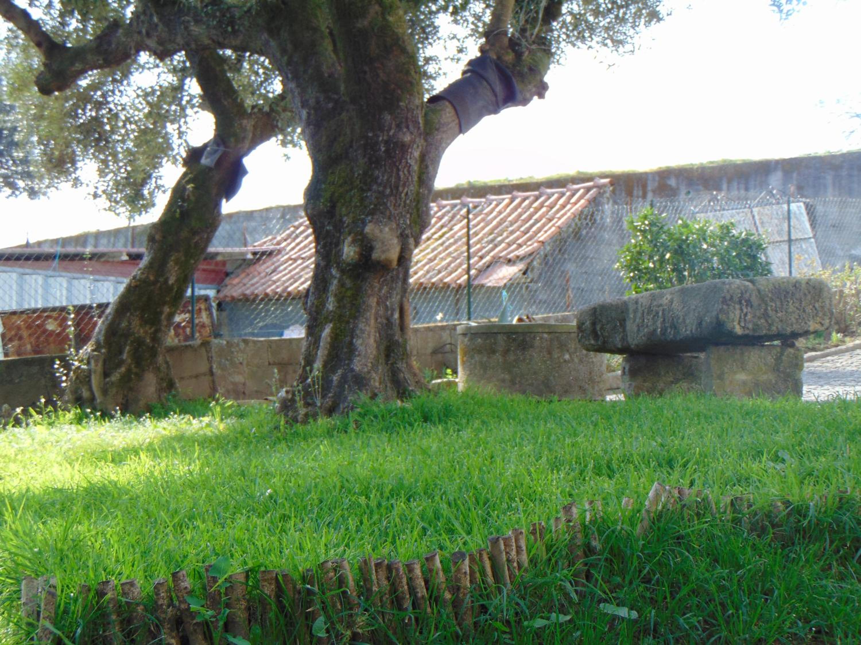 Photo 28