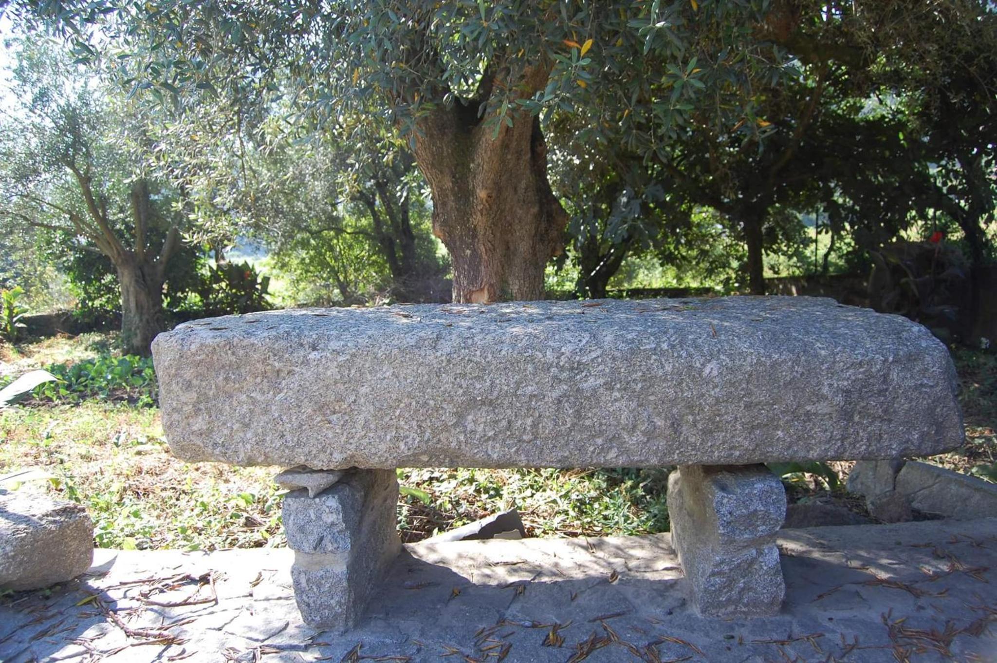 Photo 49