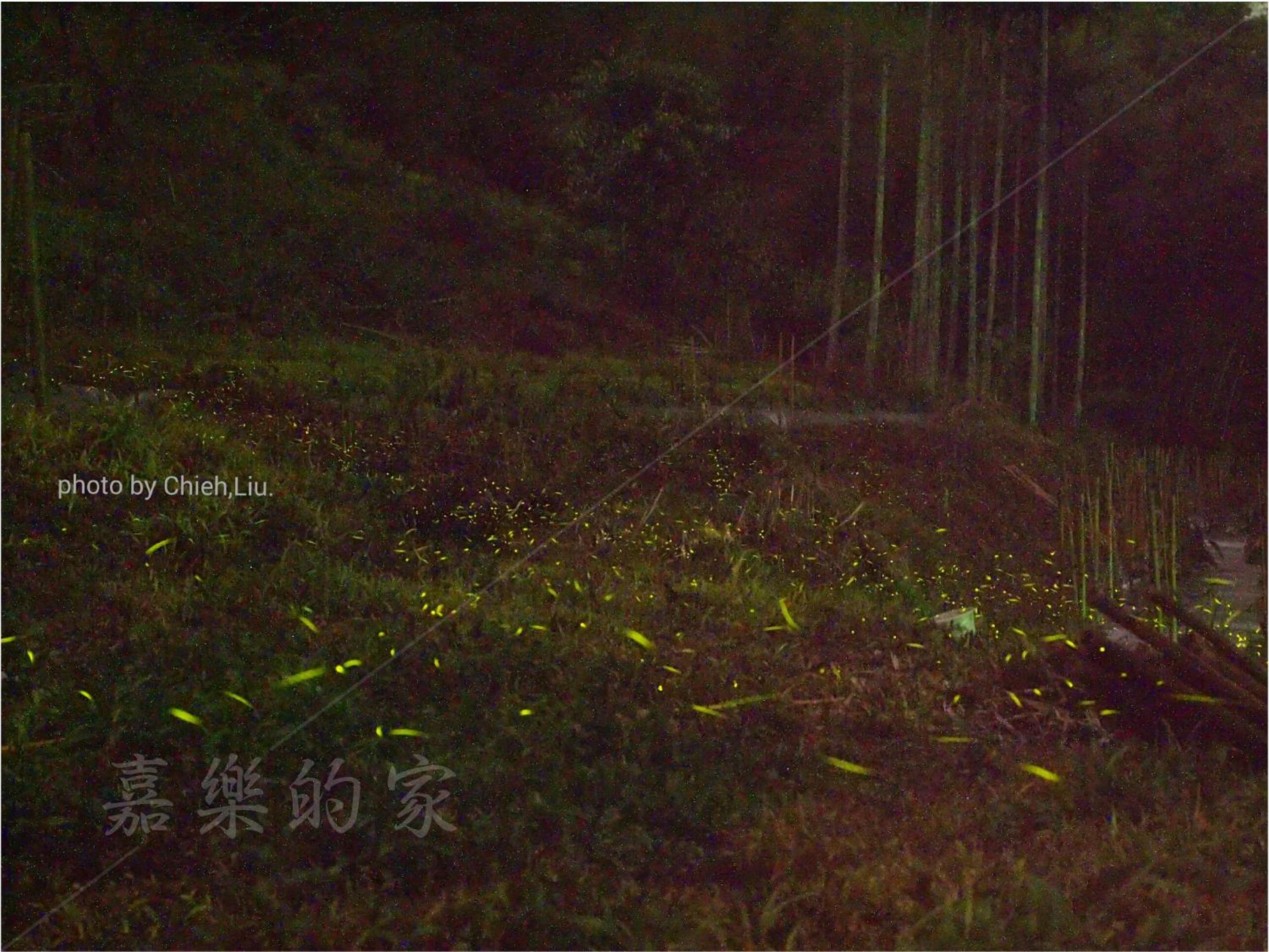 Photo 37