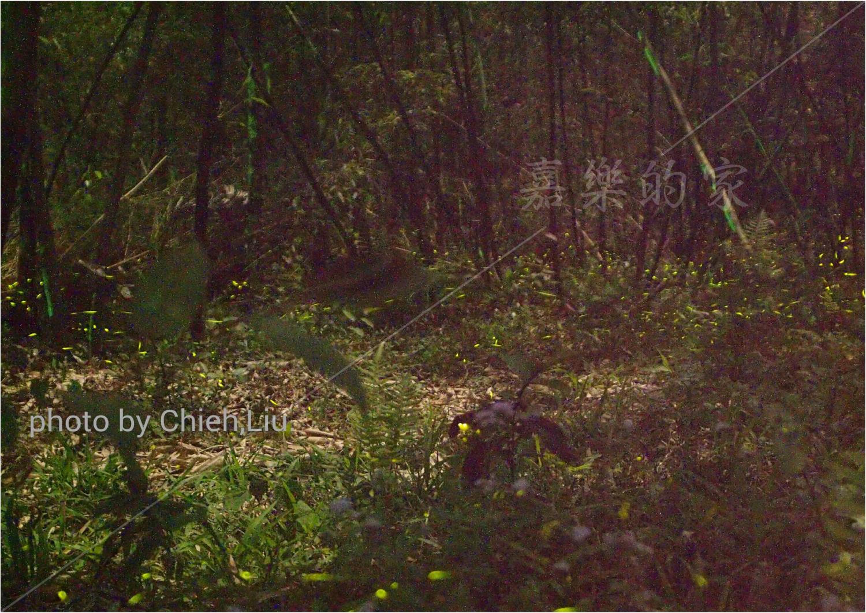 Photo 36