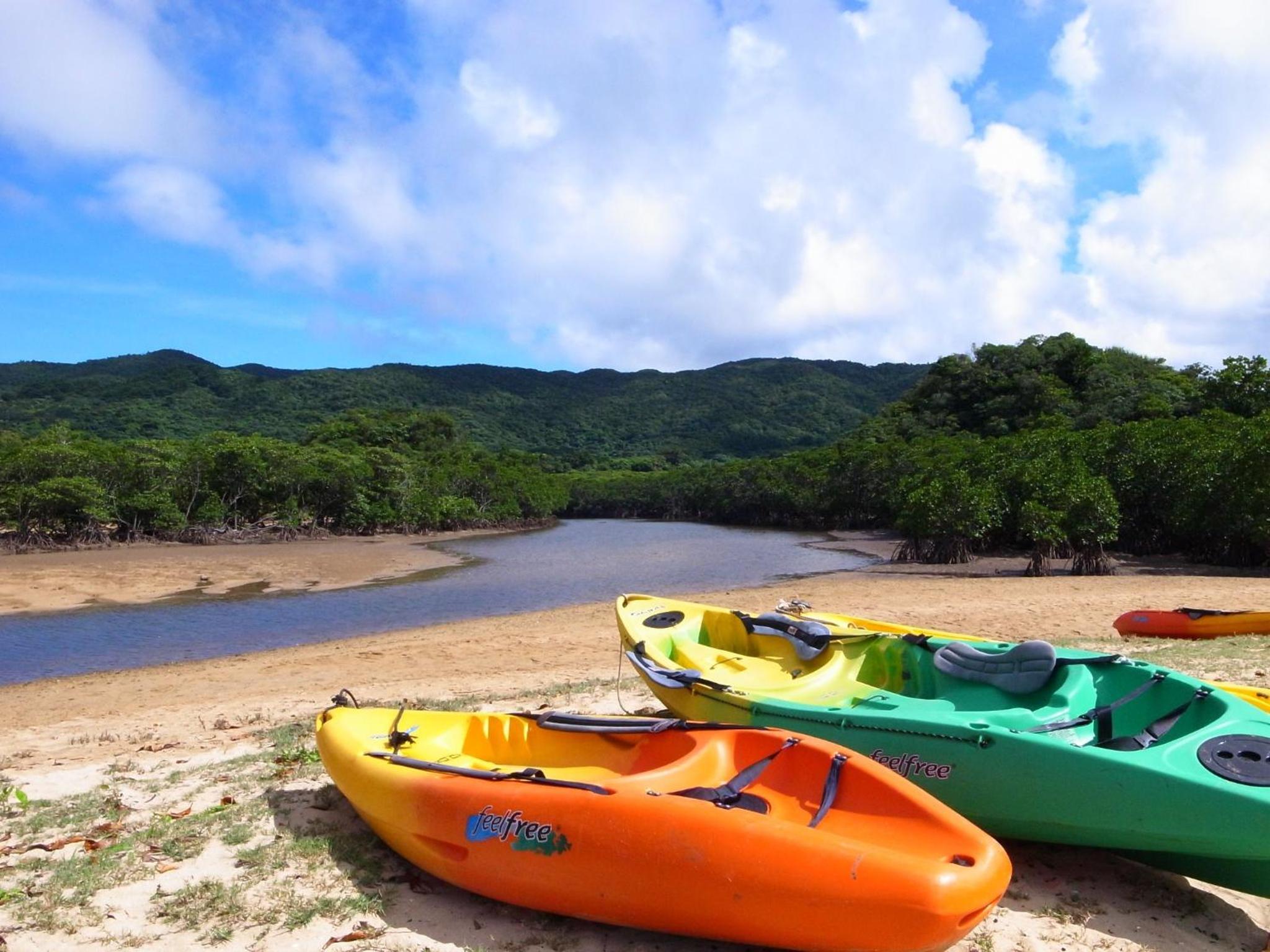 Ishigaki - House / Vacation STAY 14463 view 3