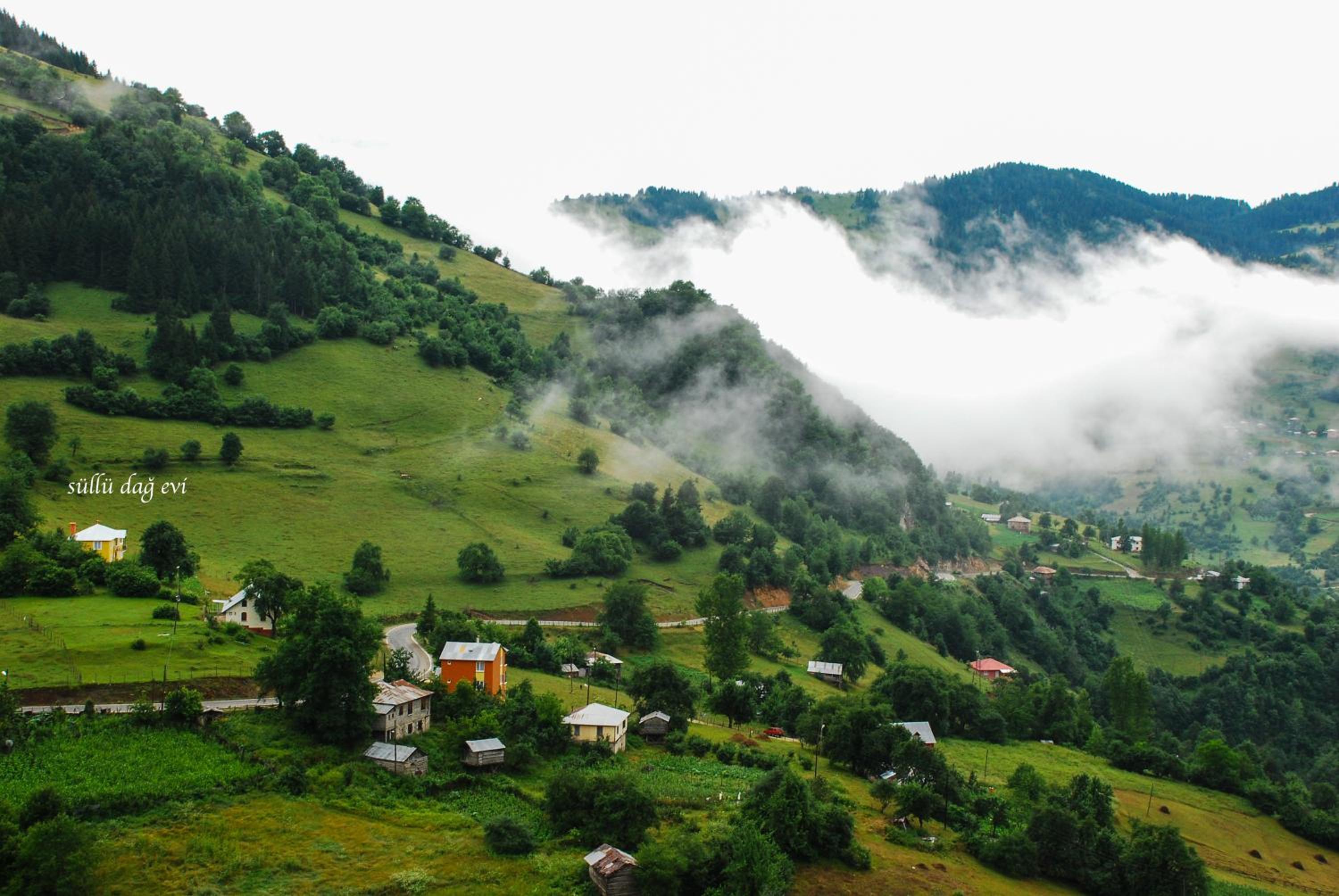 Süllü Dağ Evi