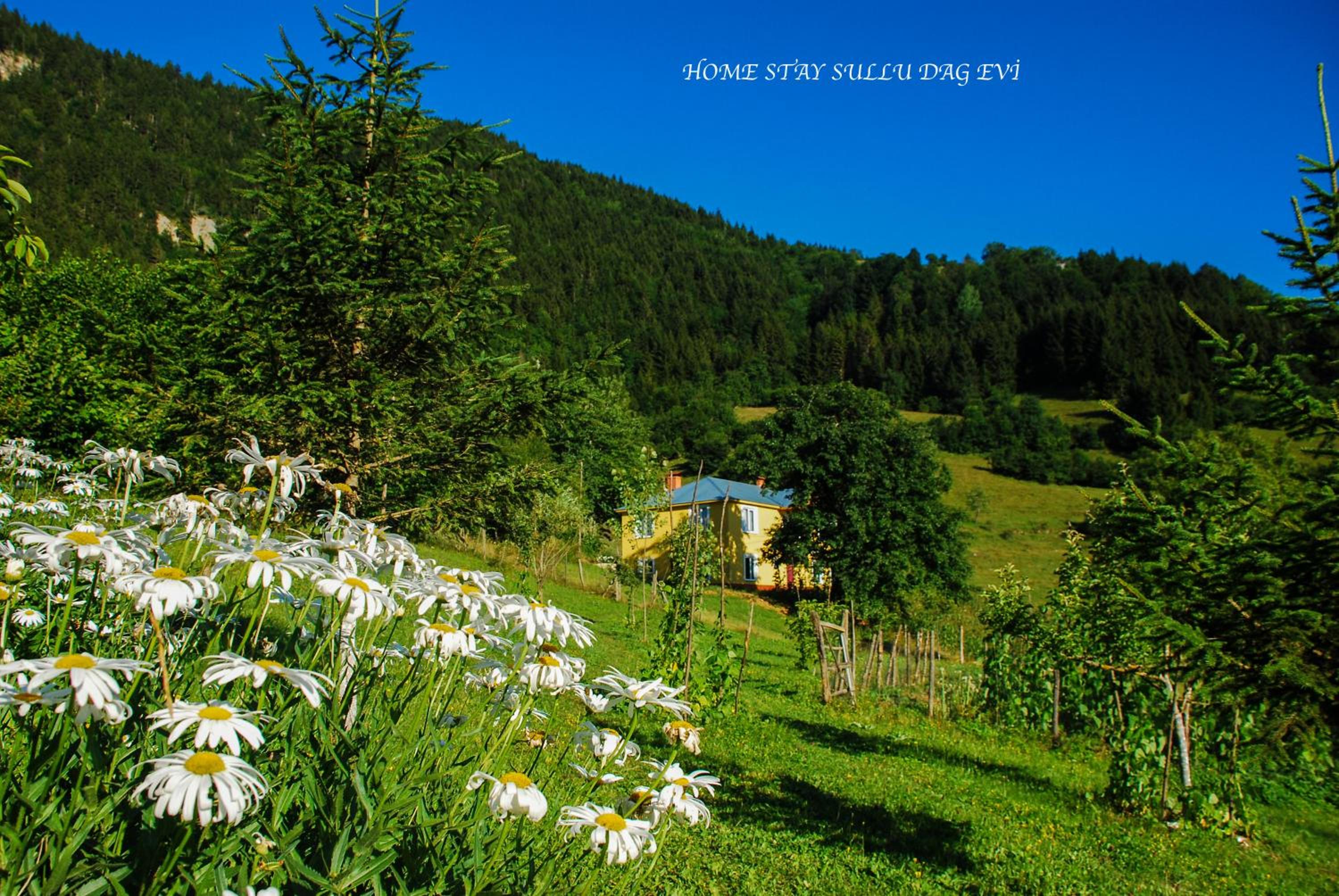 Süllü Dağ Evi