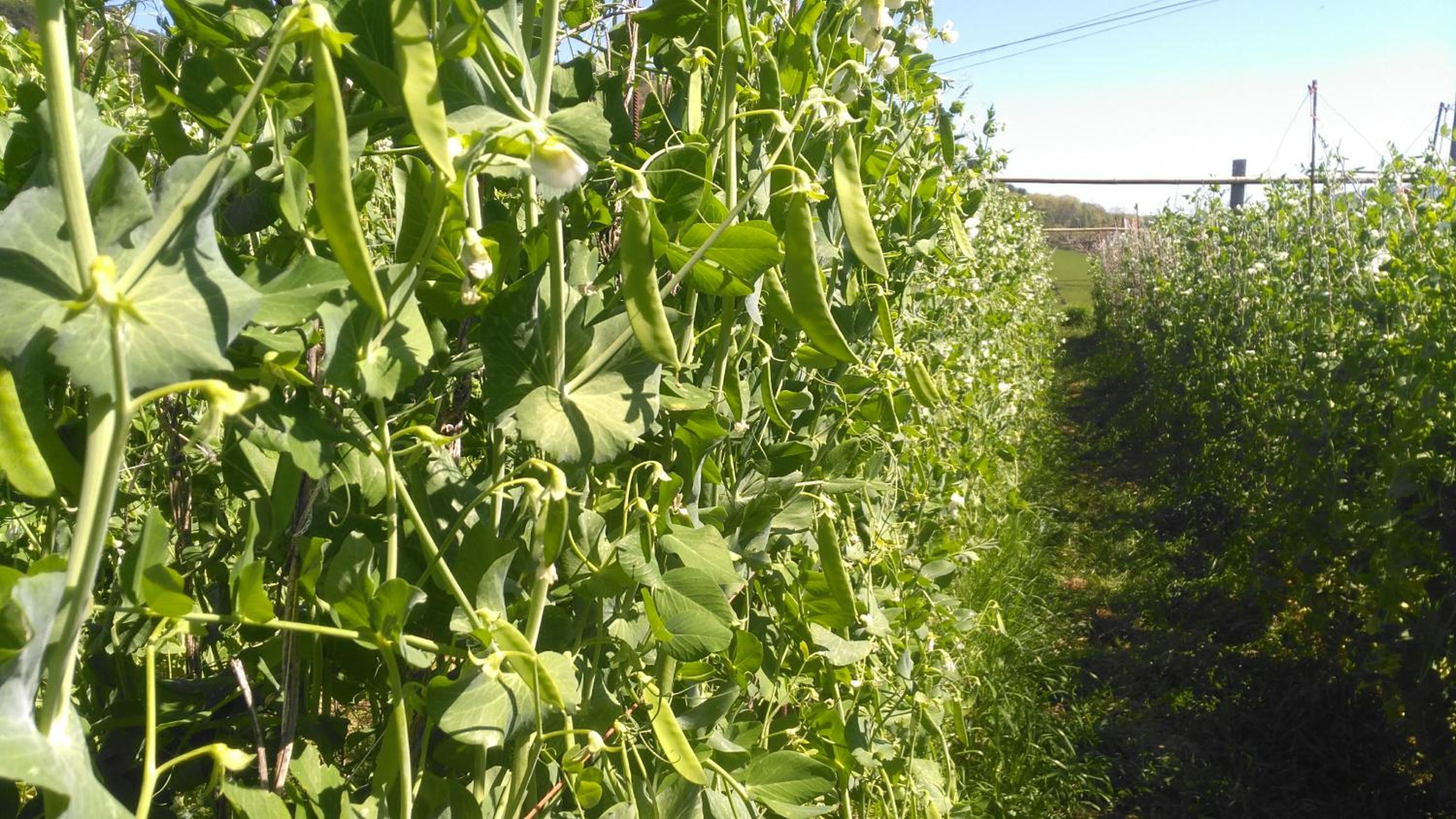 Casa Rural Aristondo Agroturismo photo 5