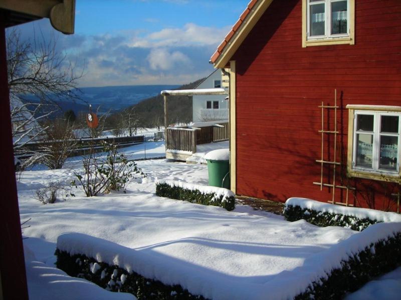 Holzferienhaus