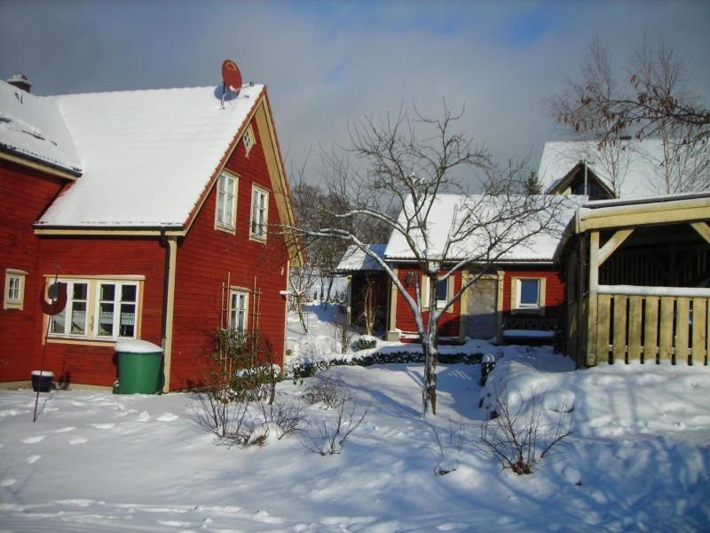Holzferienhaus