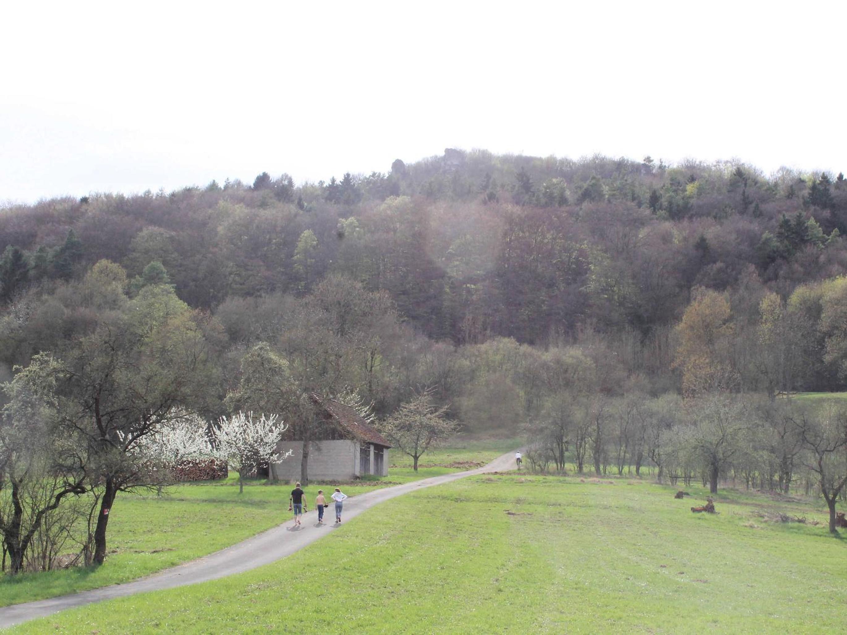 Ferienwohnung Walberlablick