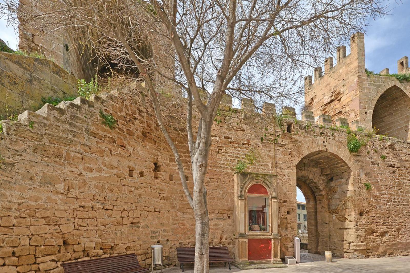 Apartment Can Xus photo 5